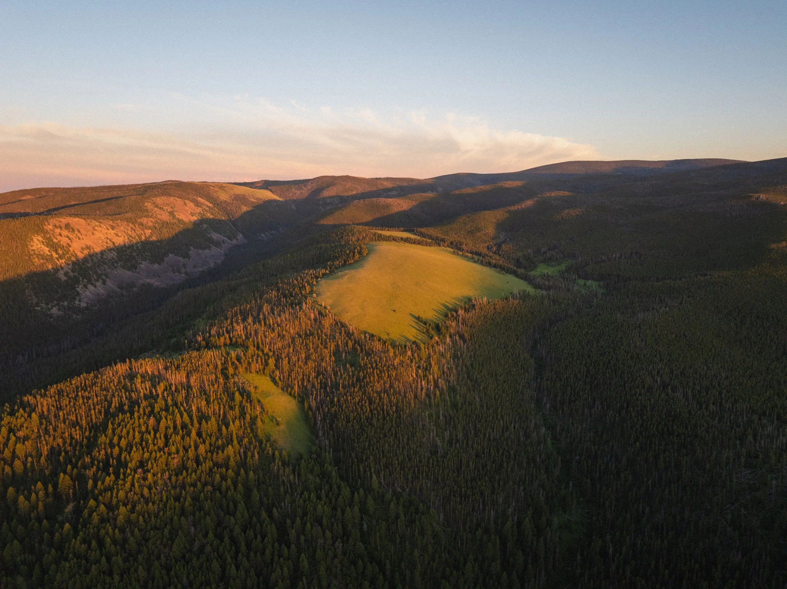 DJI_20260706164125_0047_D.jpg
