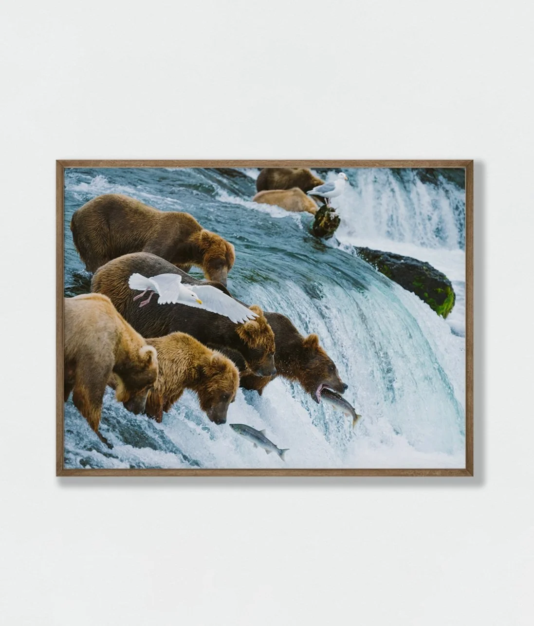 wetbear.jpg