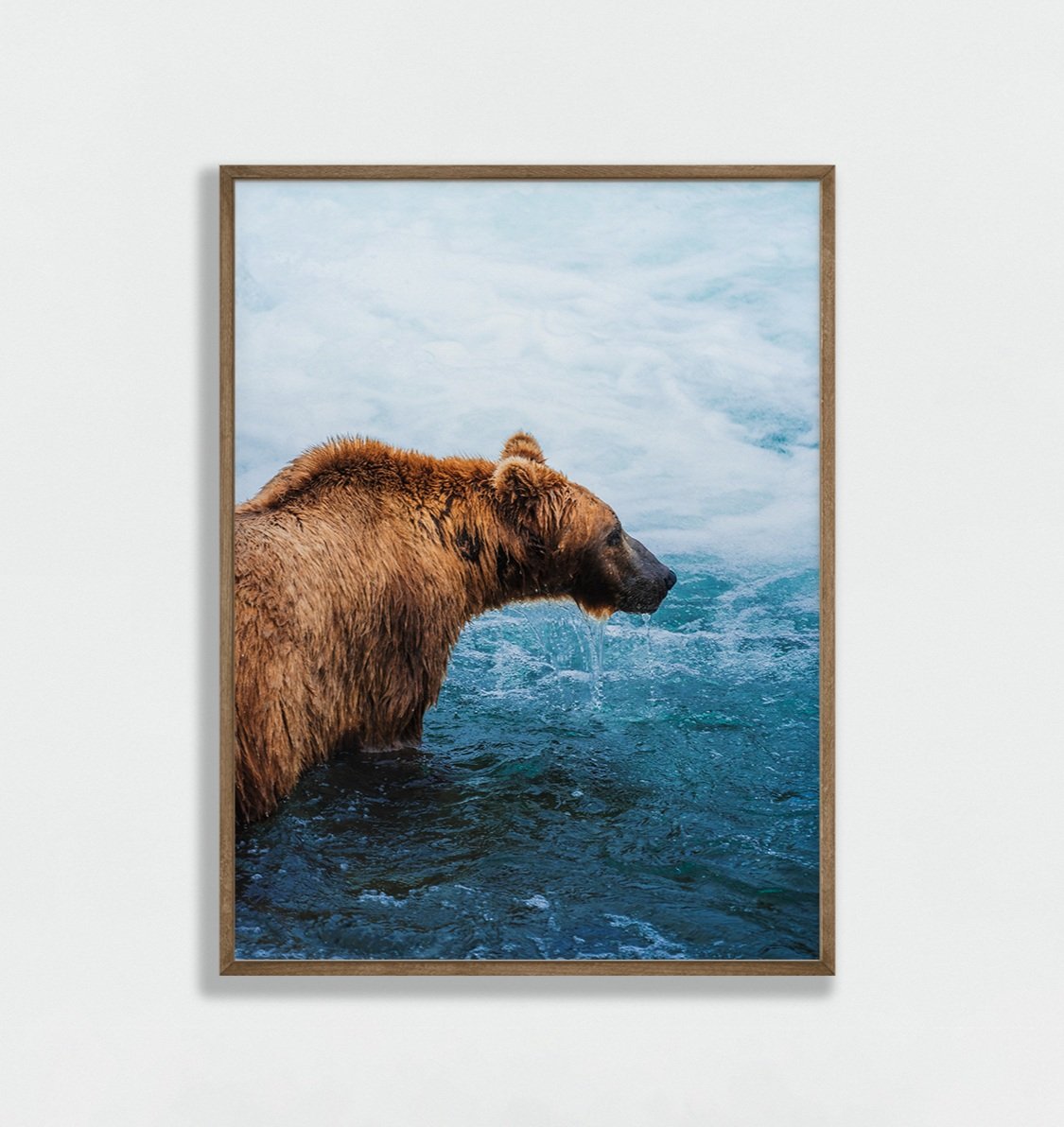 bear+water+vert.jpg