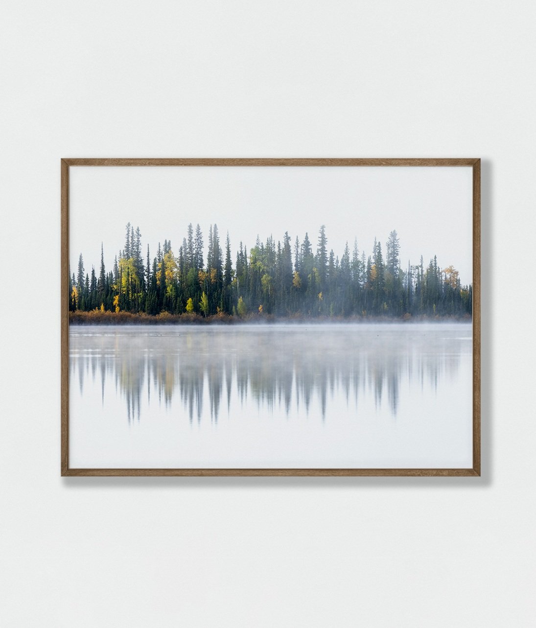 forest+reflect+hor.jpg