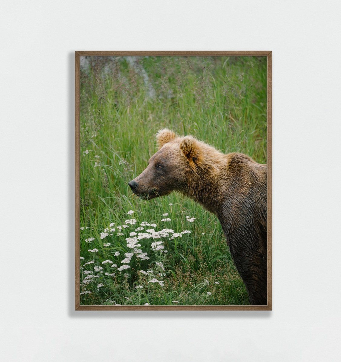 bear+grass+vert.jpg