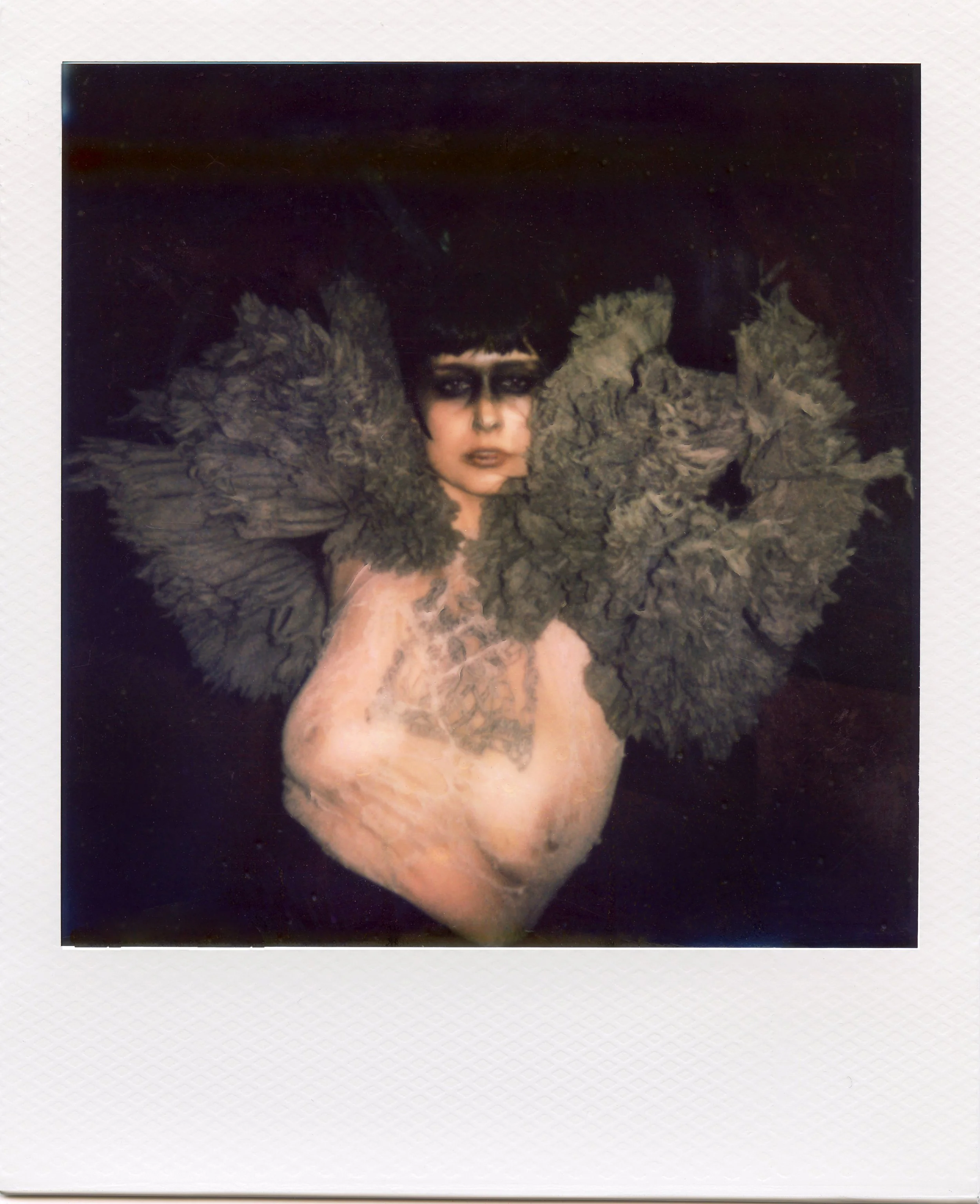 img20260216_10100553 copy.jpg