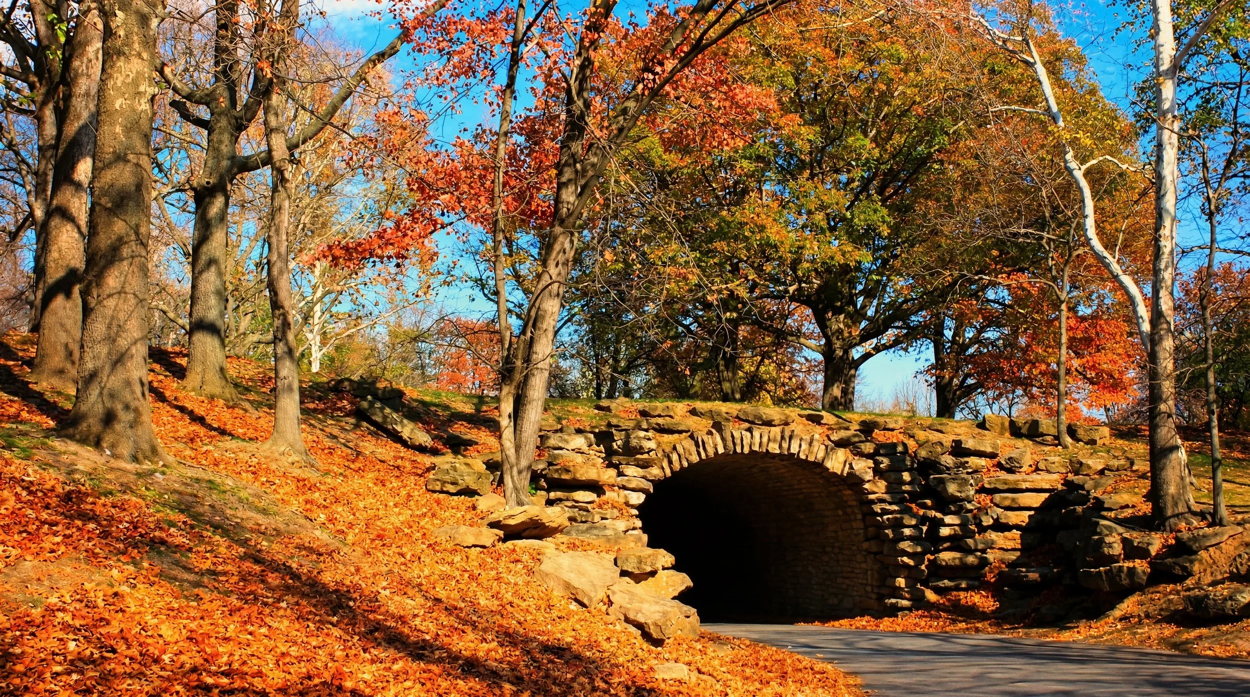 Stone arch bridge surrounded by fall foliage in St. Joseph, Missouri