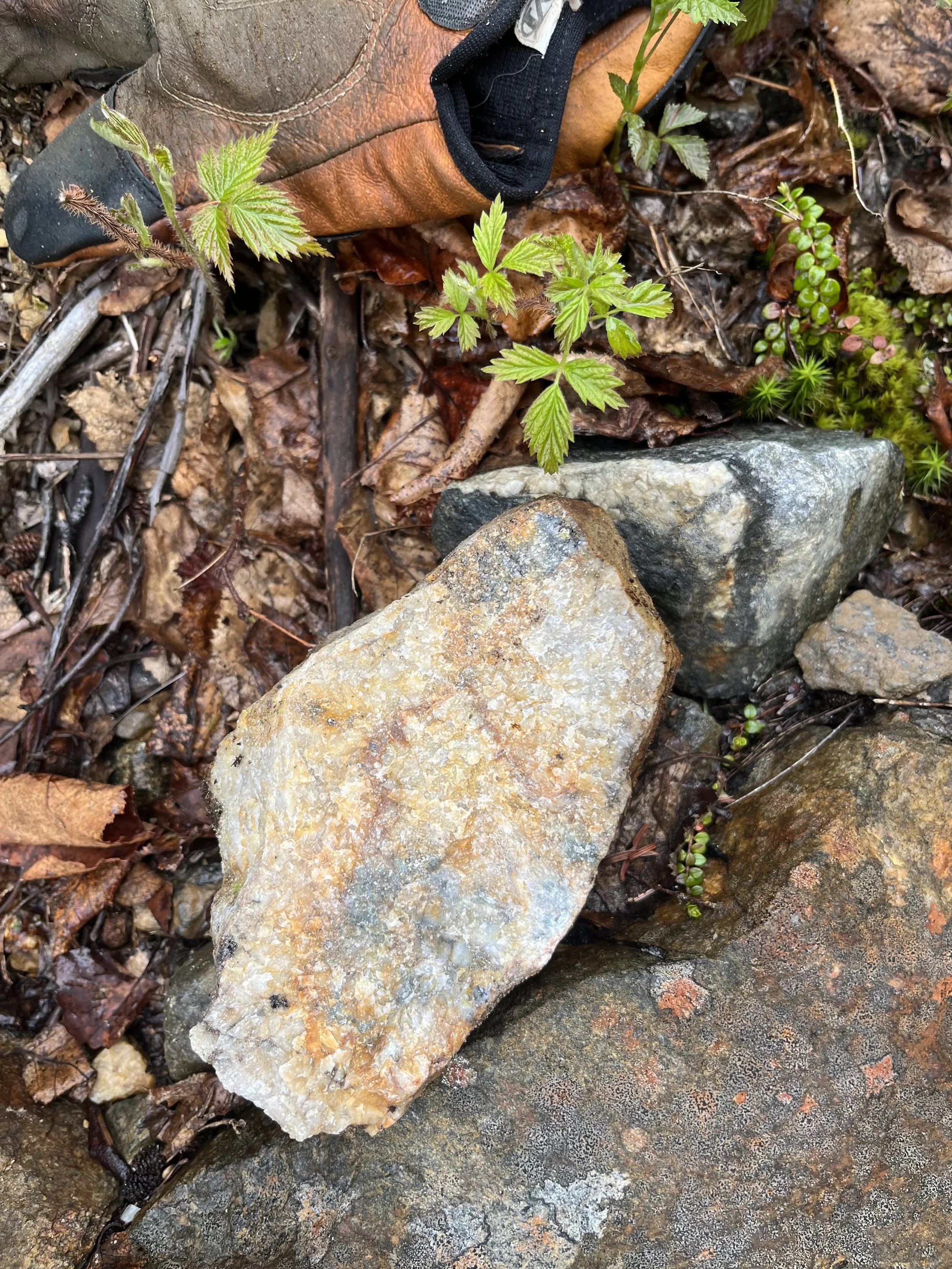 FDL Pyrite and Quartz