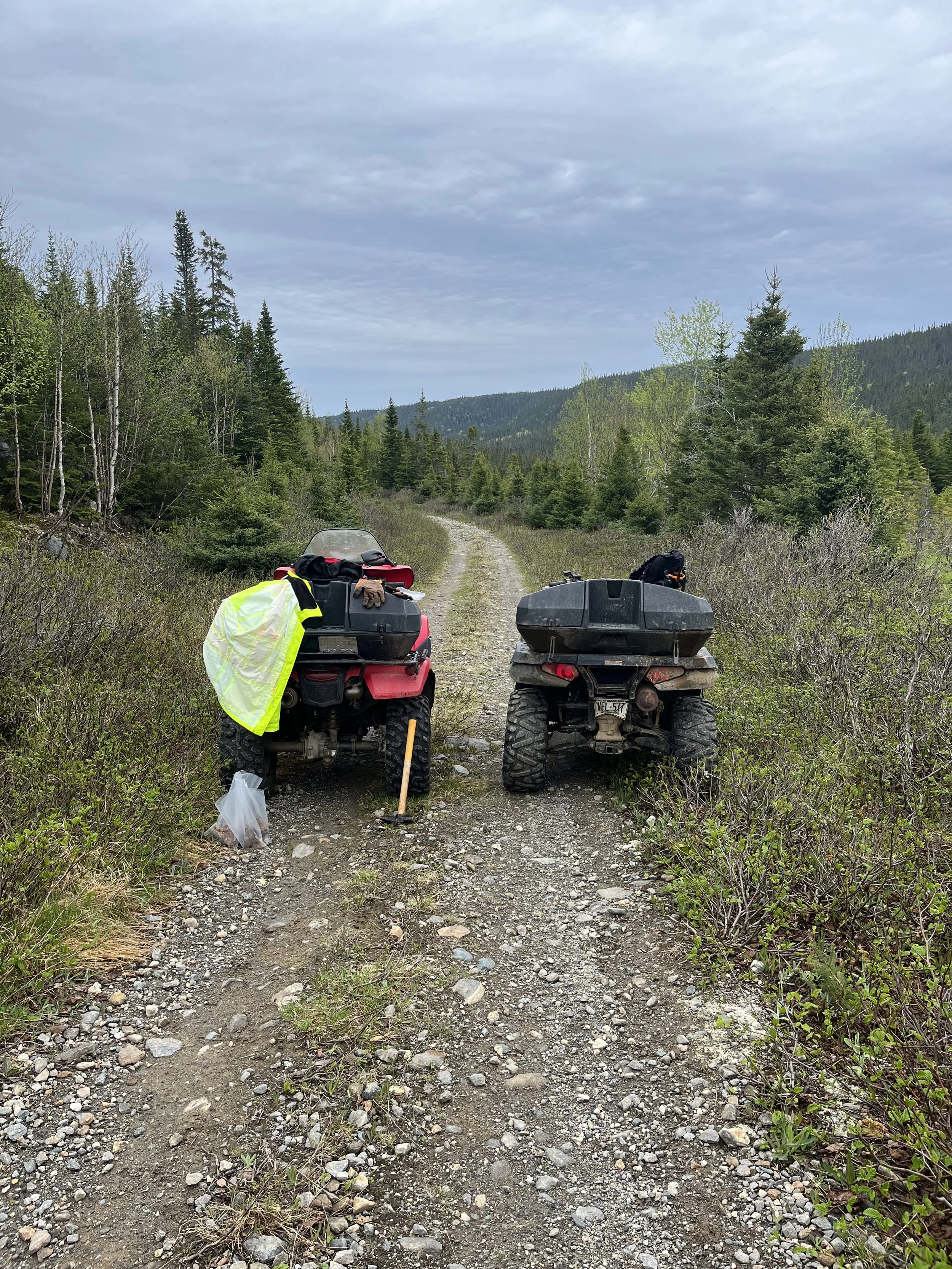 FDL Good Access into the Property