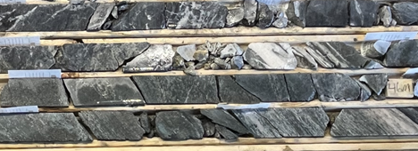 Figure 2: FDL-24-08 sheared amphibolite with 5% sulphide (46.6 m – 47.0 m assayed 2.94 g/t gold)