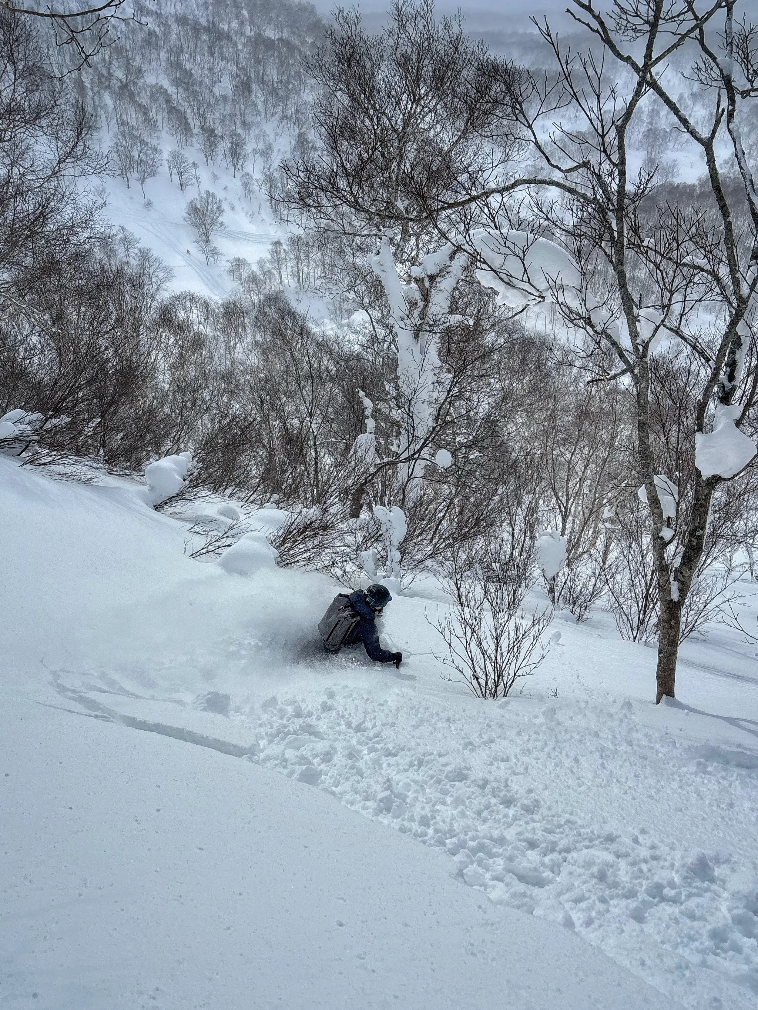 A person in winter gear skiing or snowboarding down a snowy slope in a forested mountain area with snow-covered trees and a cloudy sky.