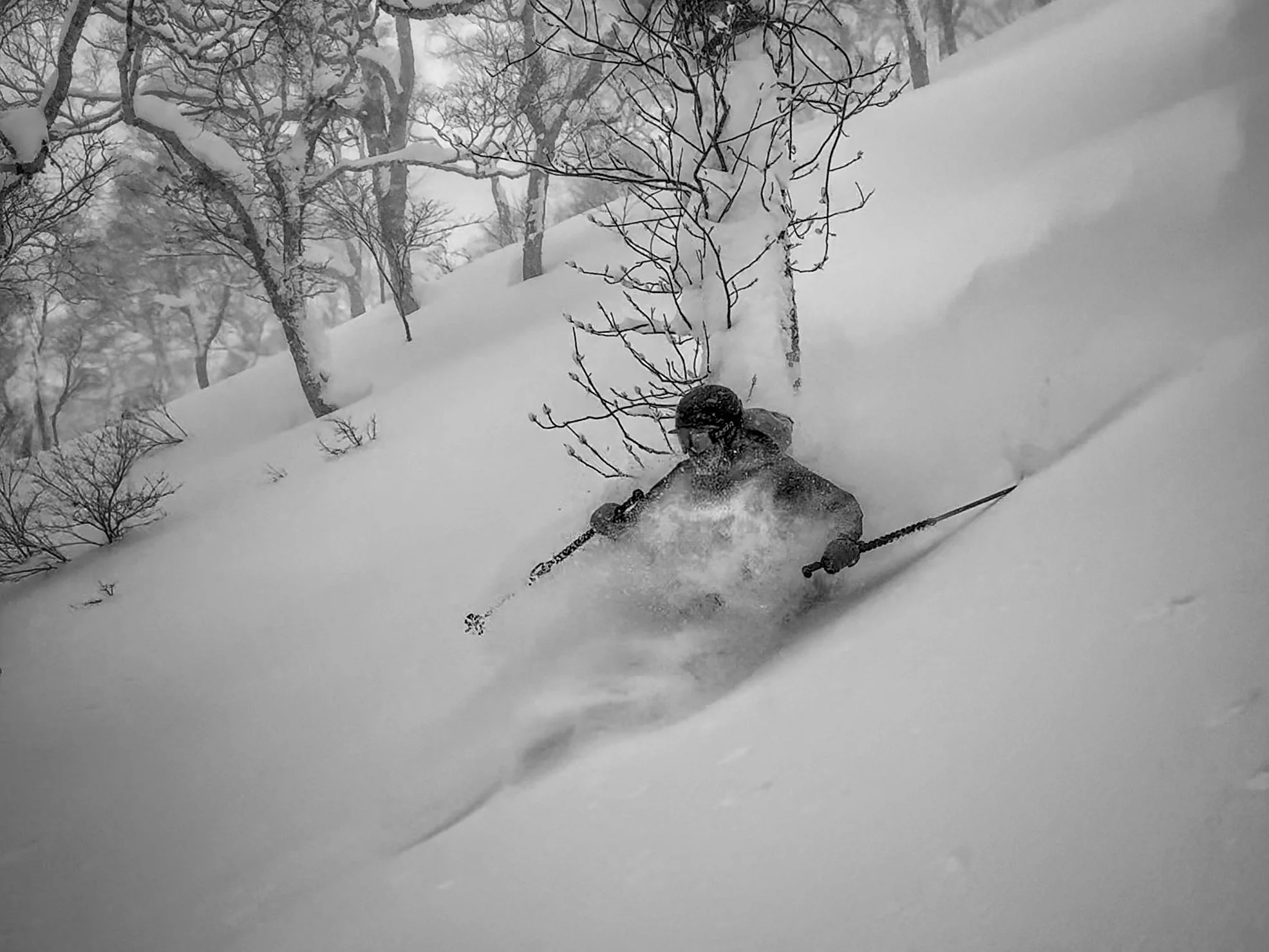 Person snowboarding down a snowy slope in a heavily wooded area with trees covered in snow.