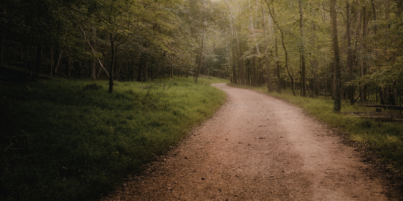 The Curious Method: How a Cognitive Character Strength Became the Best Emotional Regulator I Know