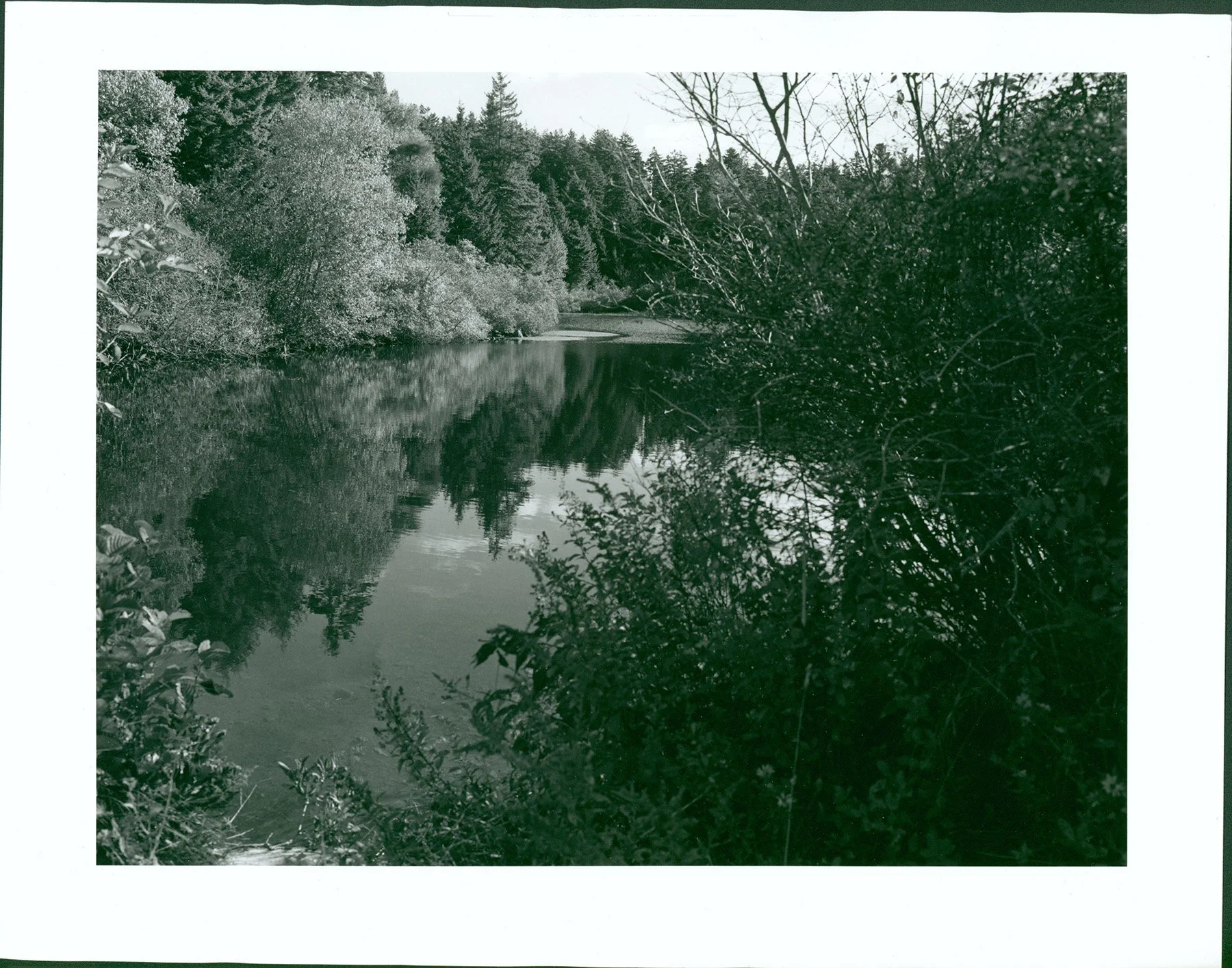 Reflexions on Pond, Monhagan Island 2025-05-11-19-19-30-01.jpg