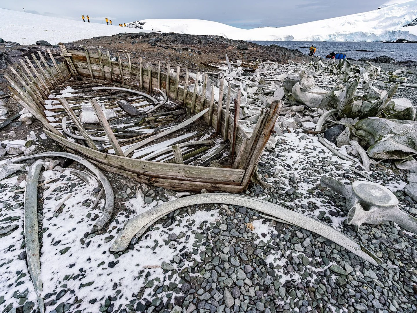 Gordian_Raacke_MikkelsenHarborAntarctica.jpg