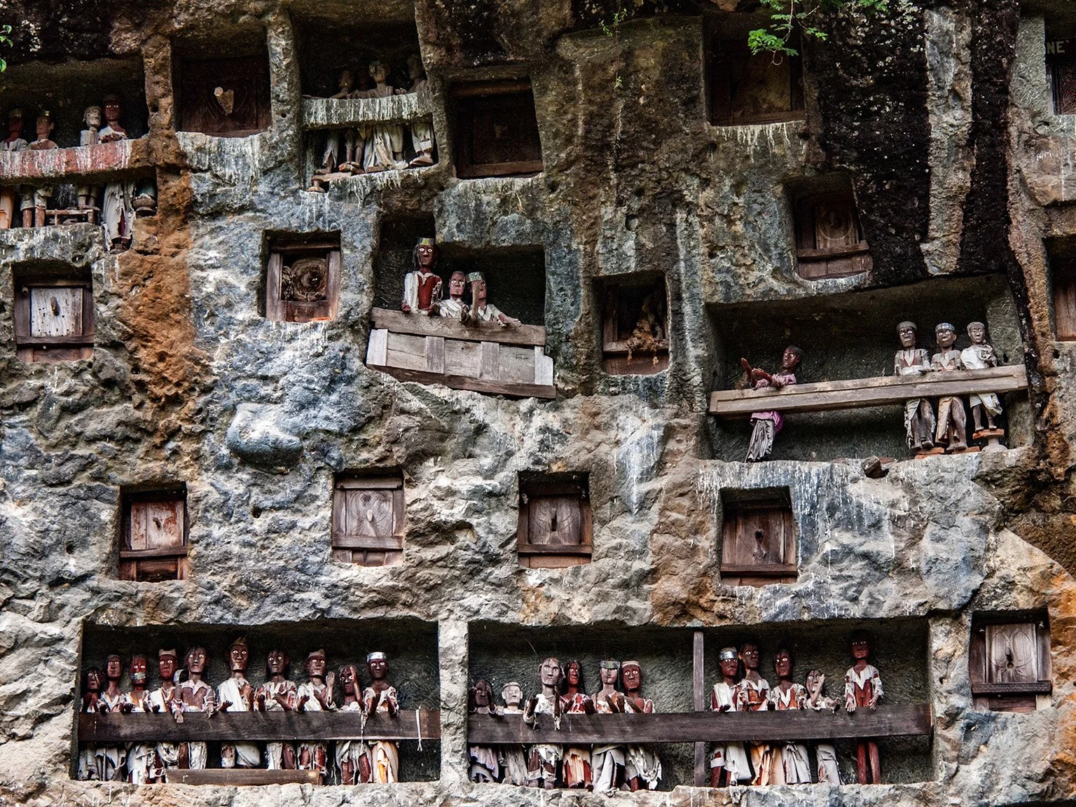 Gordian_Raacke_TauTau-Sulawesi.jpg