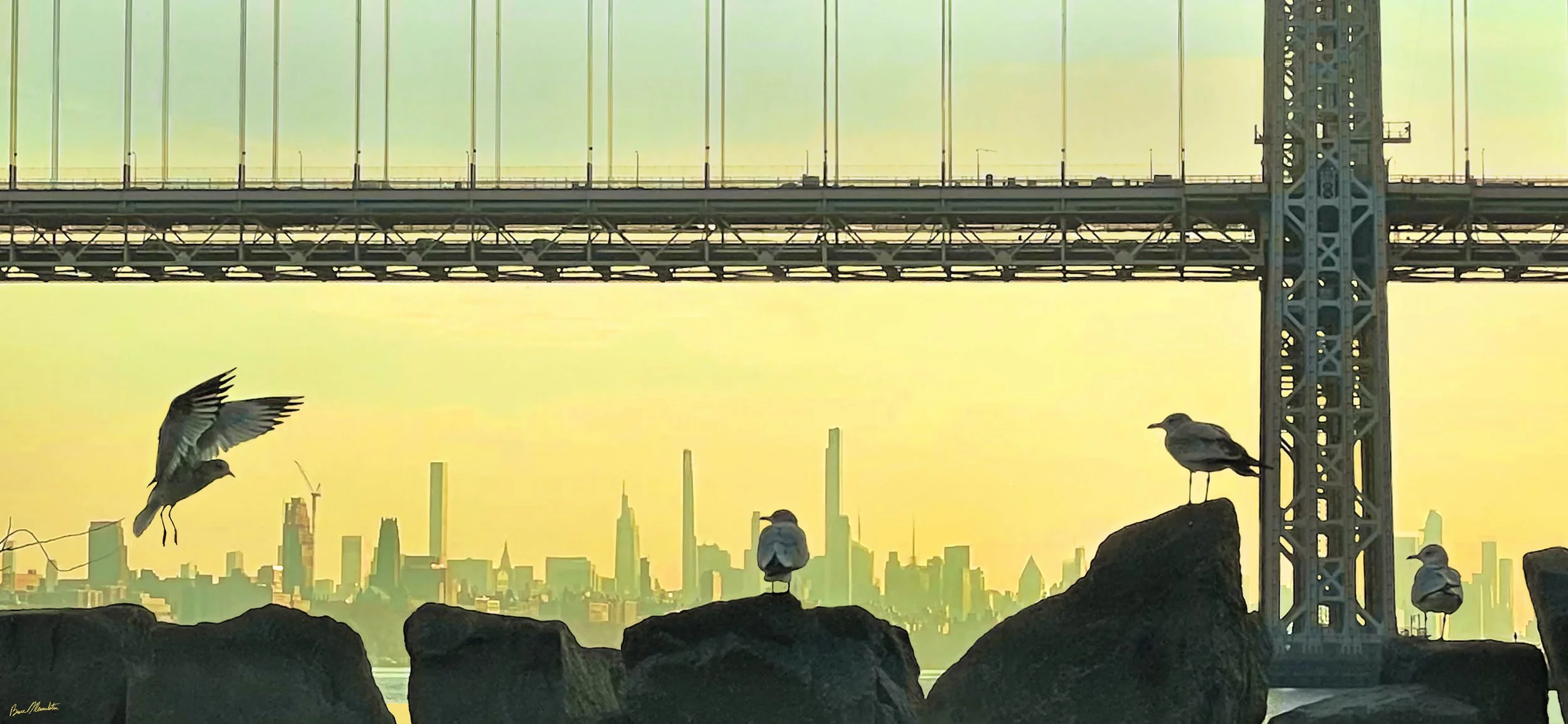 Mermelstein_Bruce_Ross Dock Blackbirds Bridge and NYC Skyline .jpg