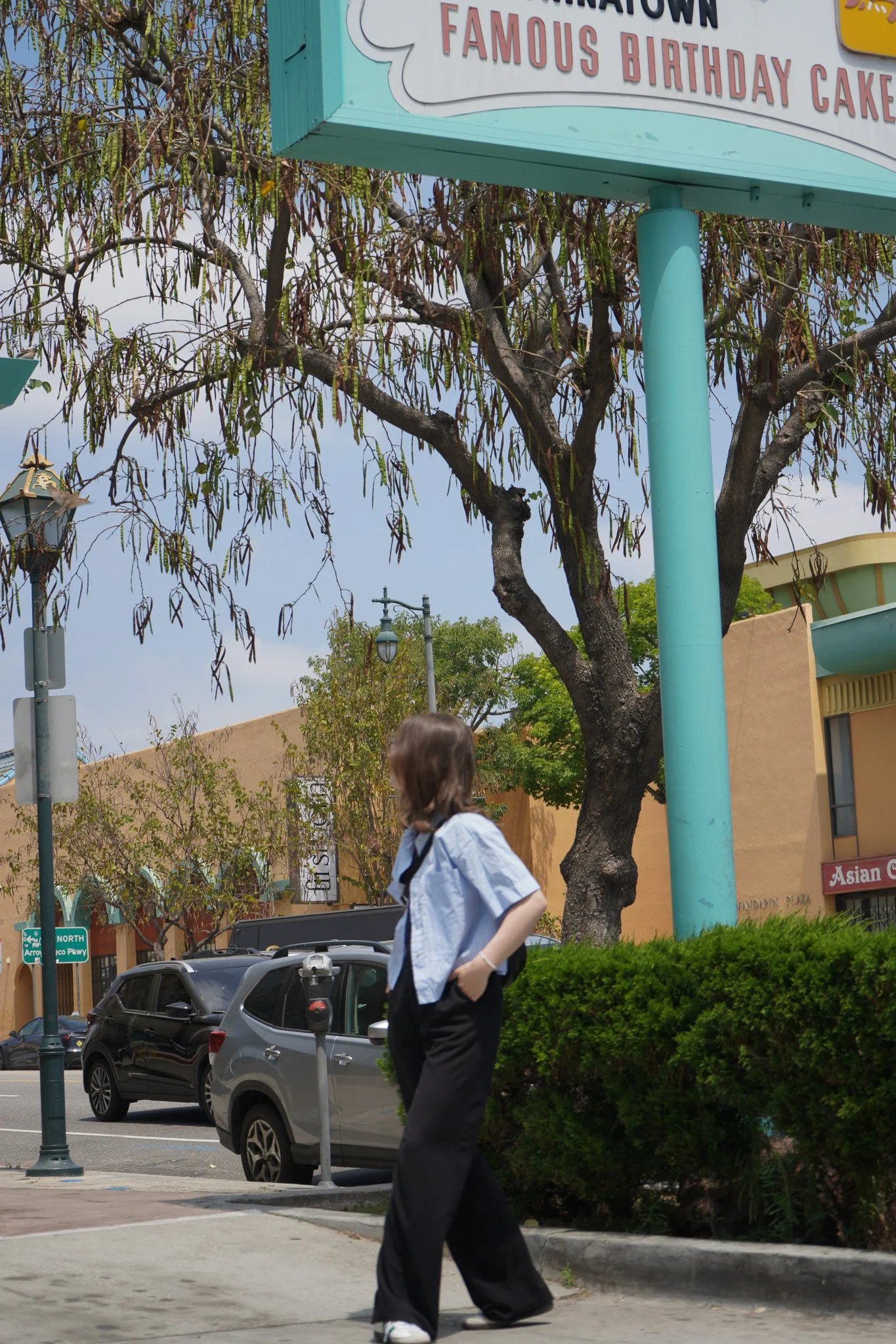 DSC04901-2.jpg