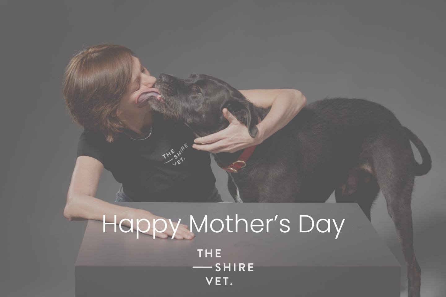 To all kinds of mums, fur mums and those who stand as mother figures, today, we celebrate you!  Your love, strength and endless support makes the world a better place 💐 

Happy Mother's Day from our team at The Shire Vet. We hope your furbabies give