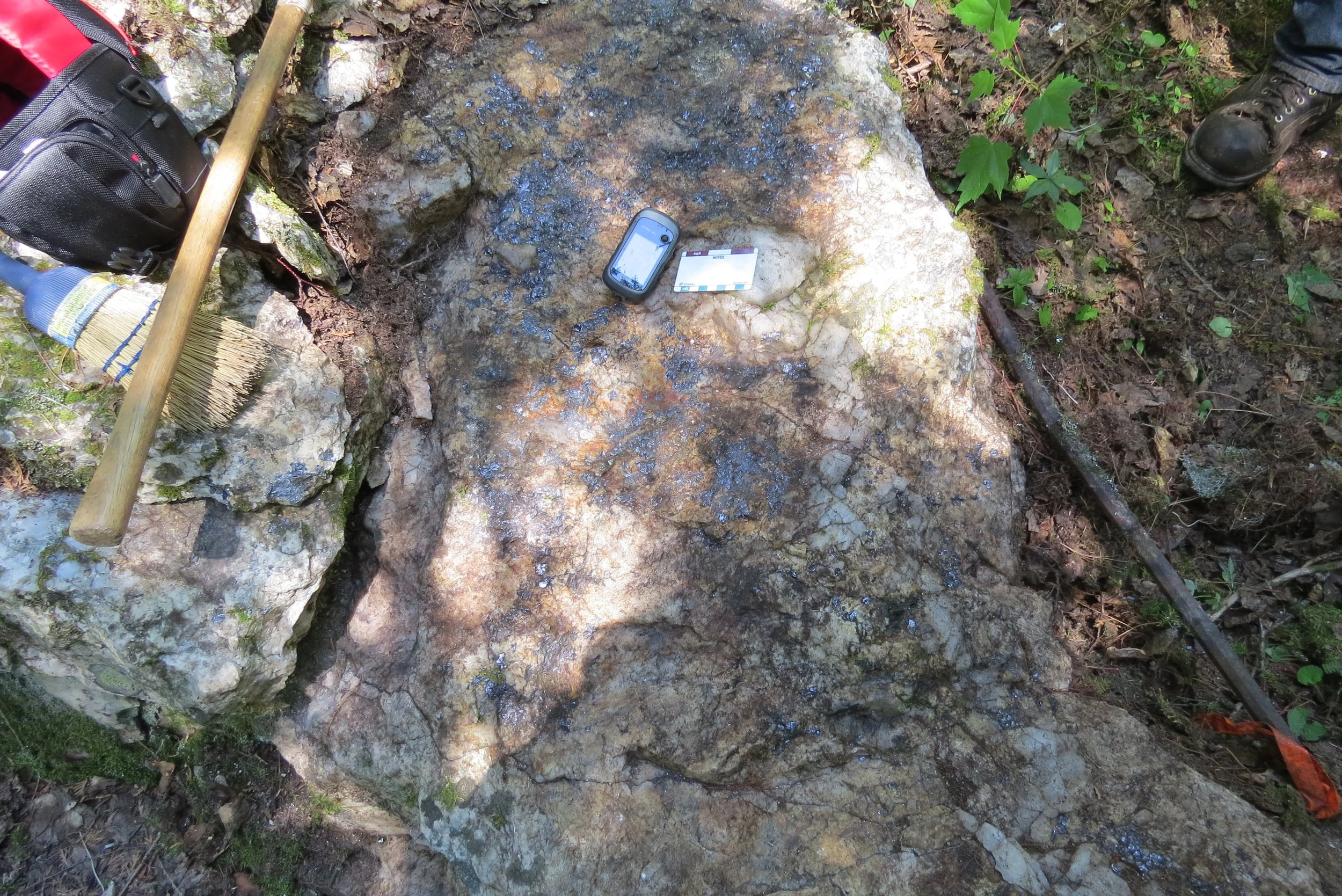 High-grade molybdenite outcrop. Photo by: Hermann Daxl.