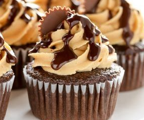 gooey+cupcakes.png