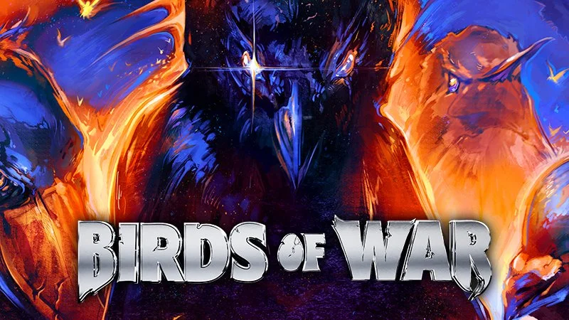 BIRDS OF WAR GAME