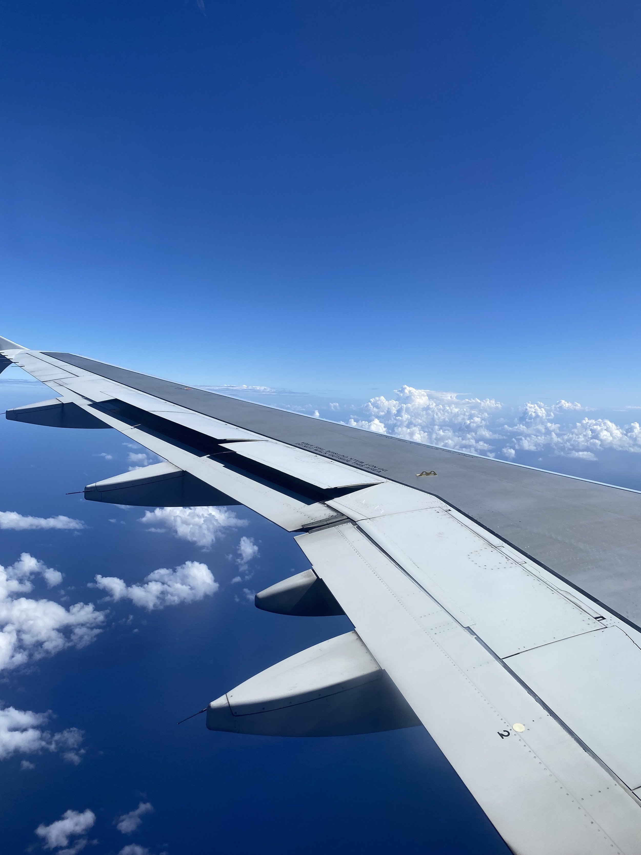 A 50th Birthday in Jamaica