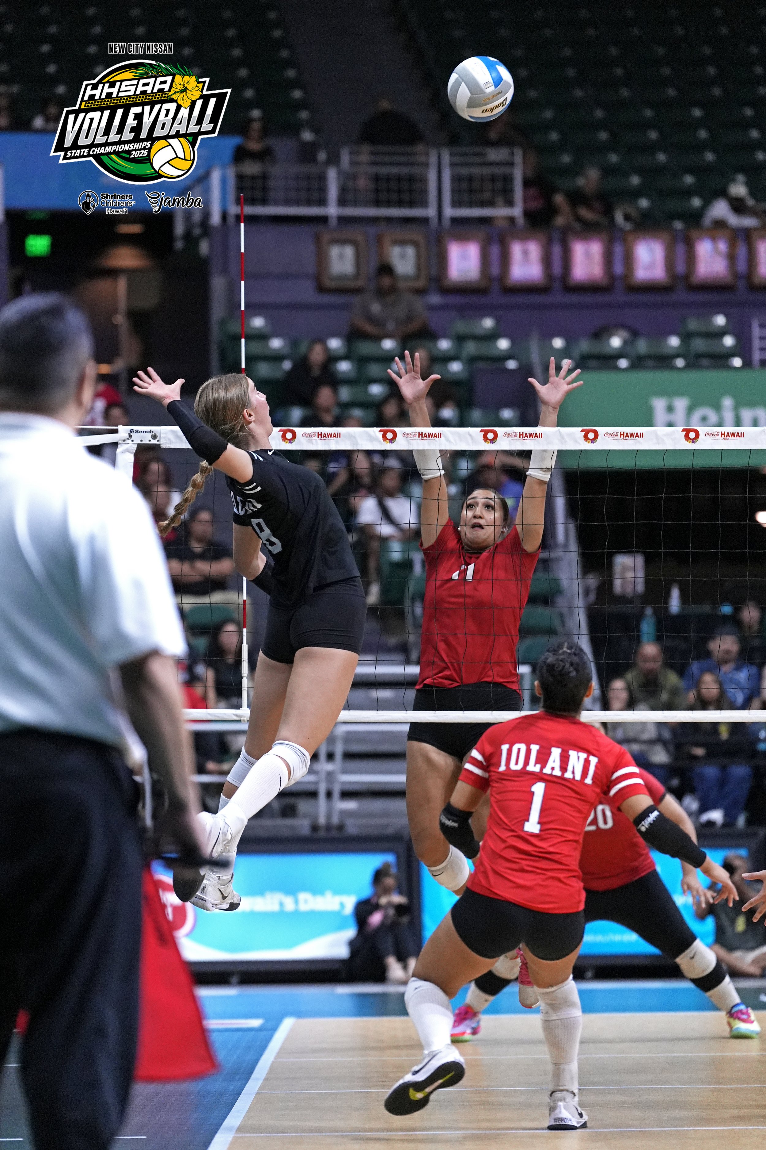 _DSC0135 copy 2.jpeg