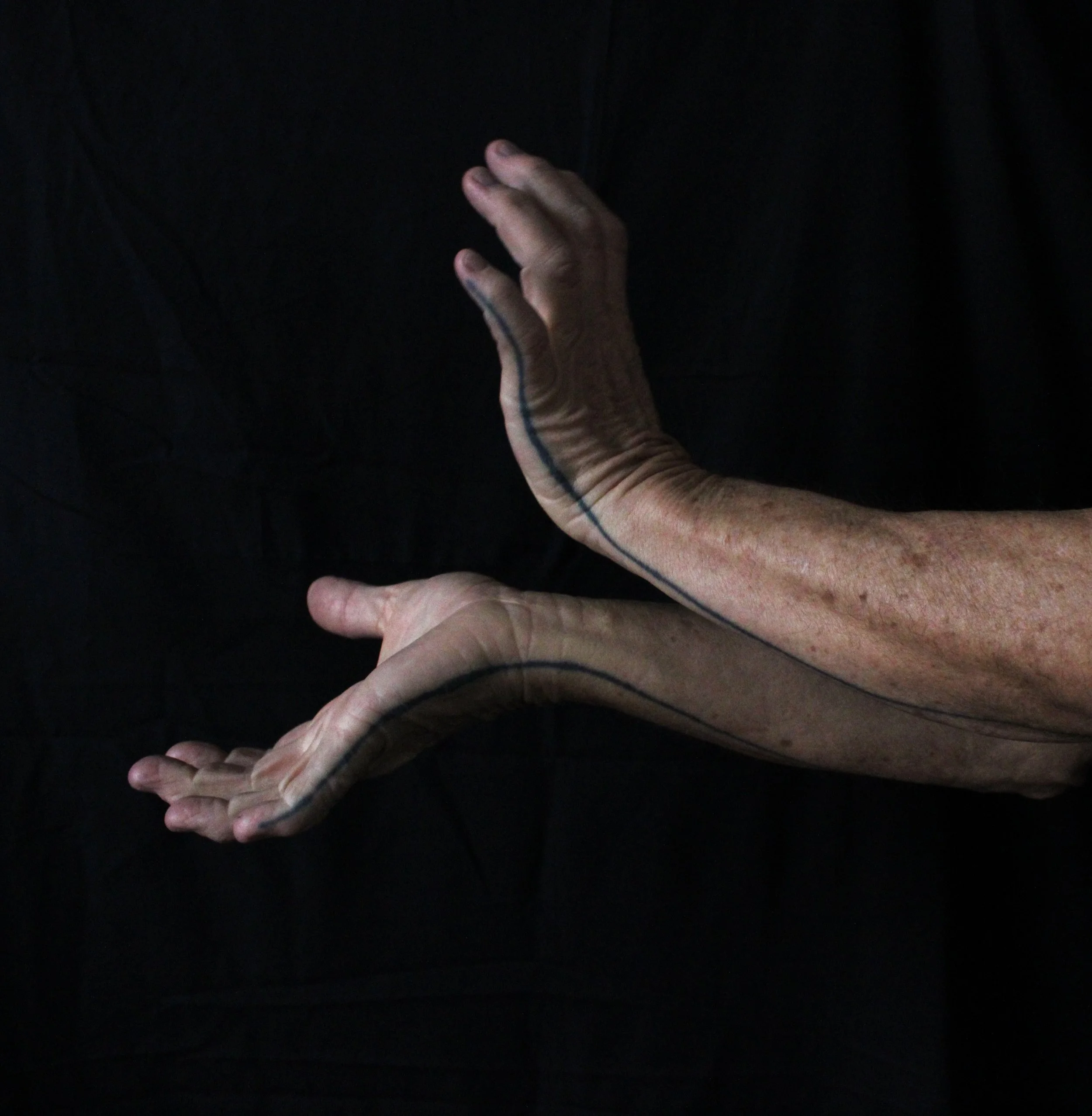 Catching the Light.jpg