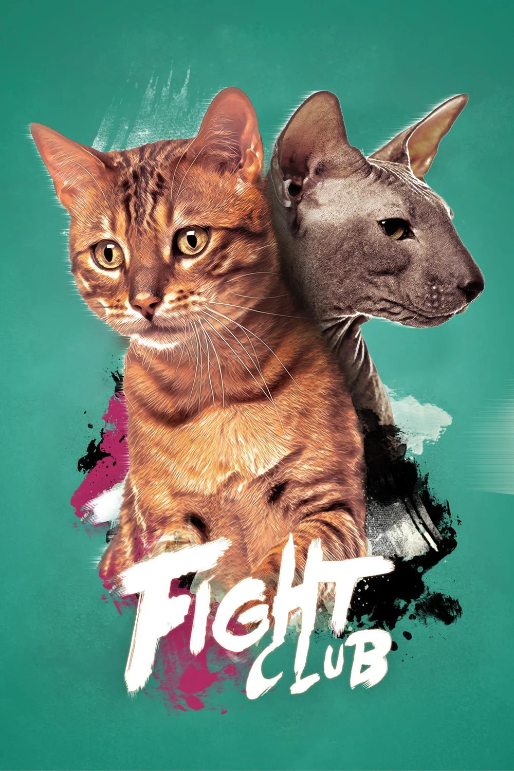 Space Cat 67.jpg