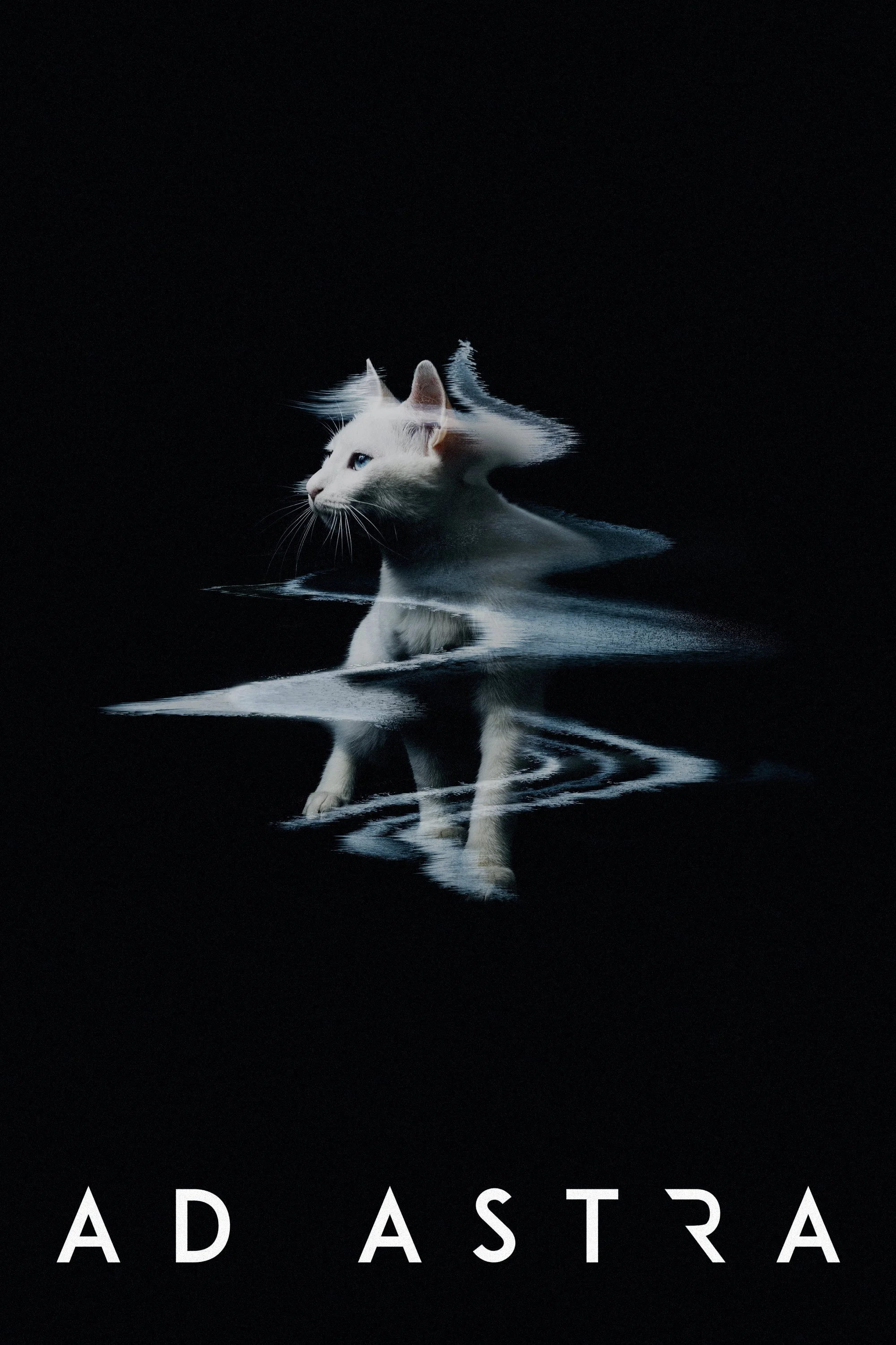Space Cat 37.jpg