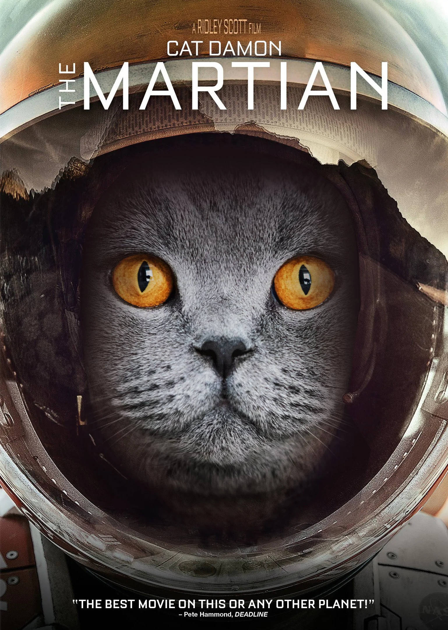 Space Cat 18 Cat.jpg