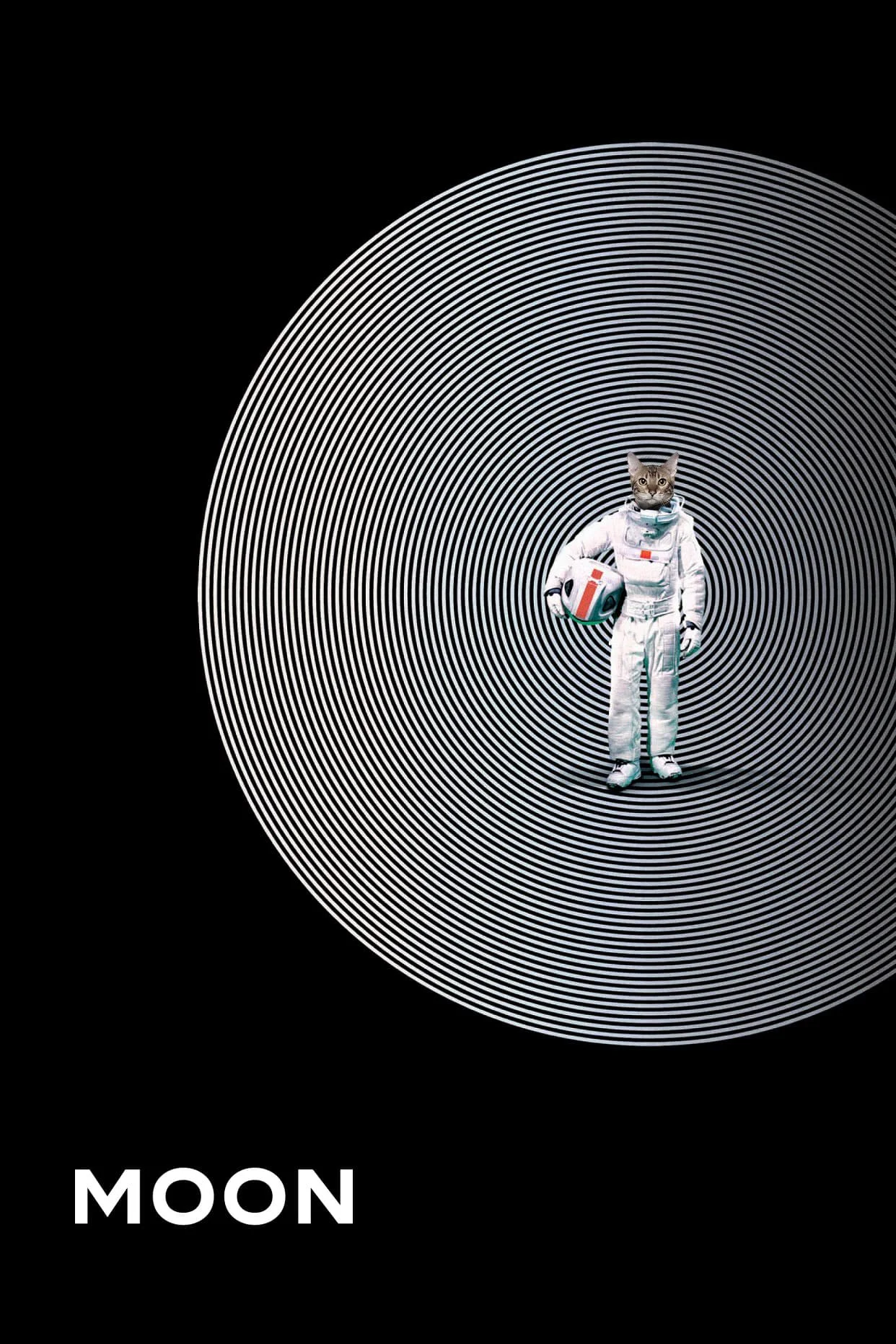 Space Cat 29.jpg