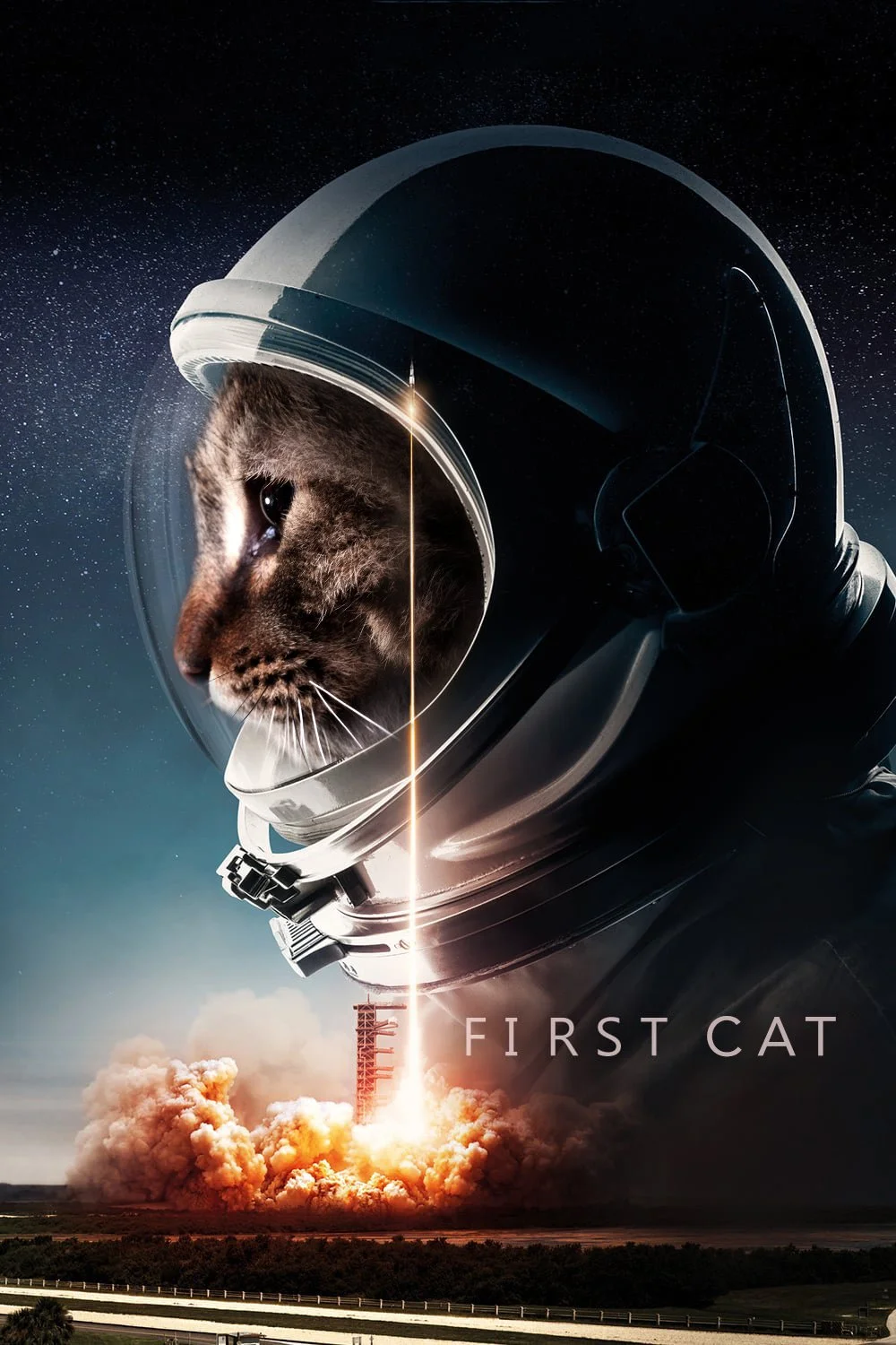 Space Cat 32.jpg
