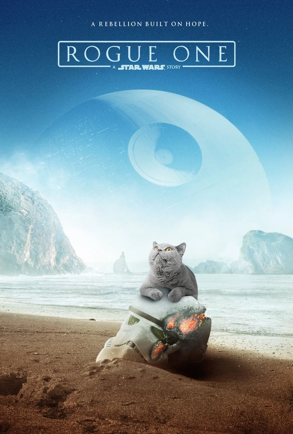 Space Cat 28.jpg
