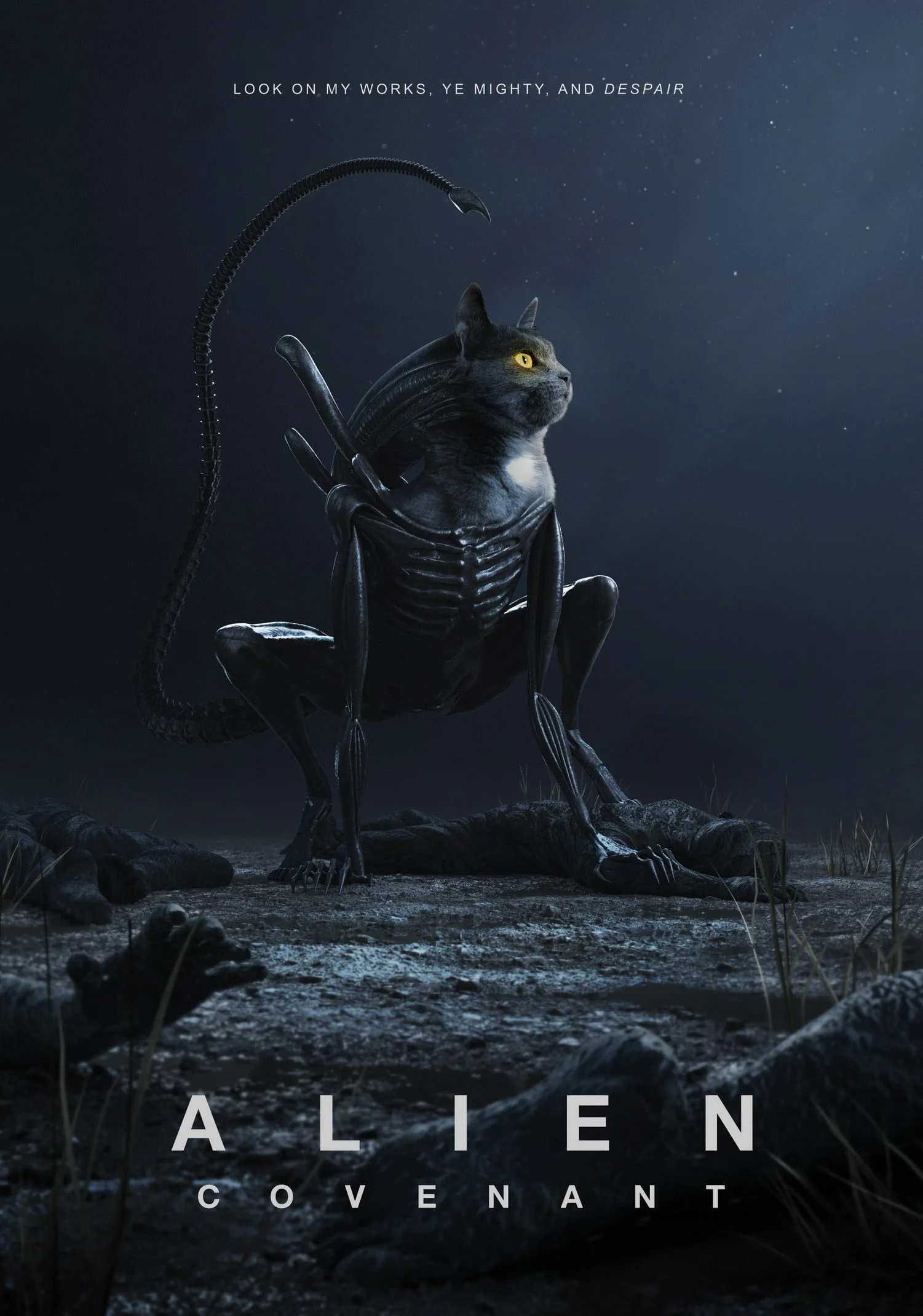 Space Cat 14 Cat.jpg