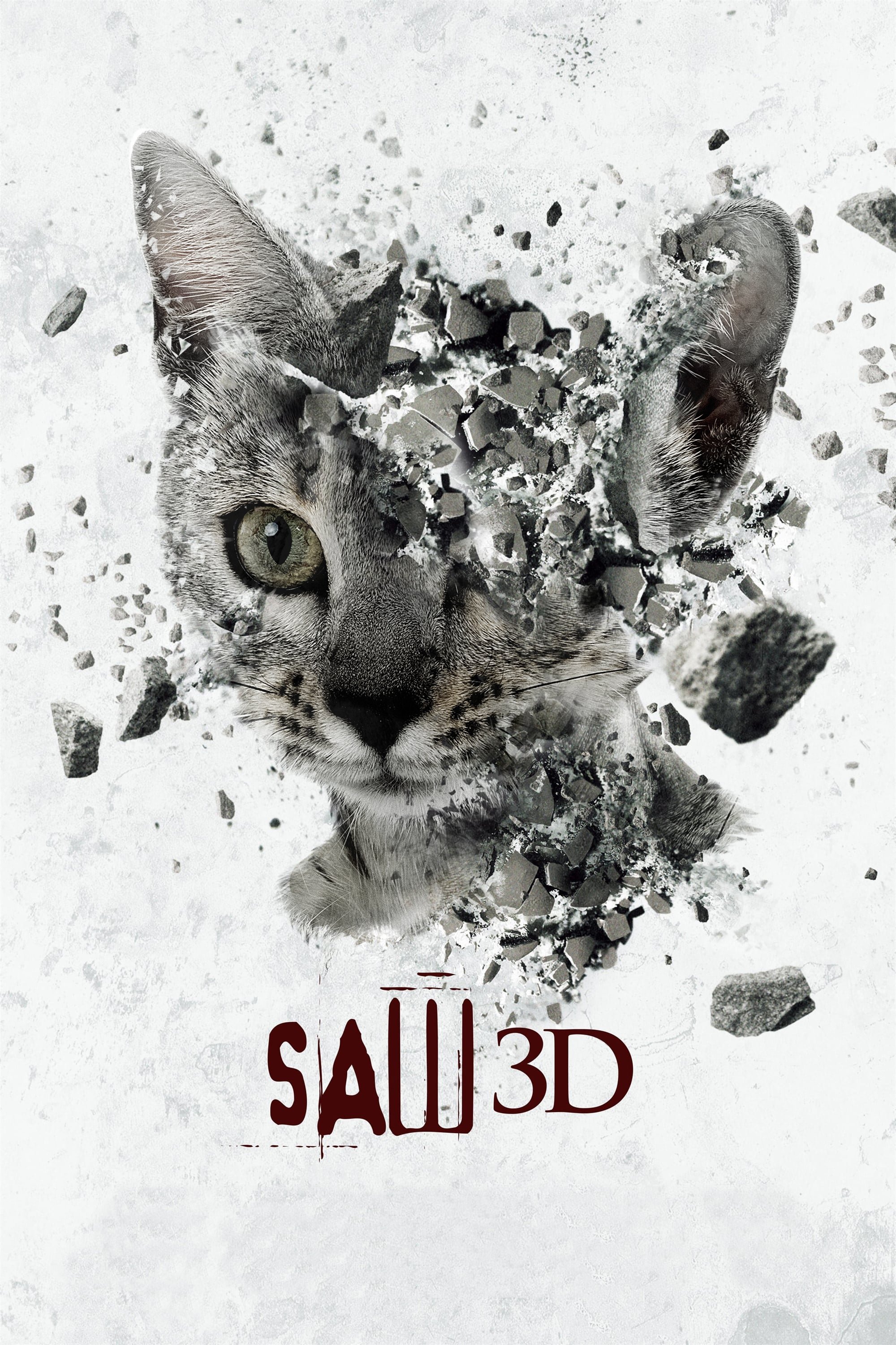 Space Cat 58.jpg