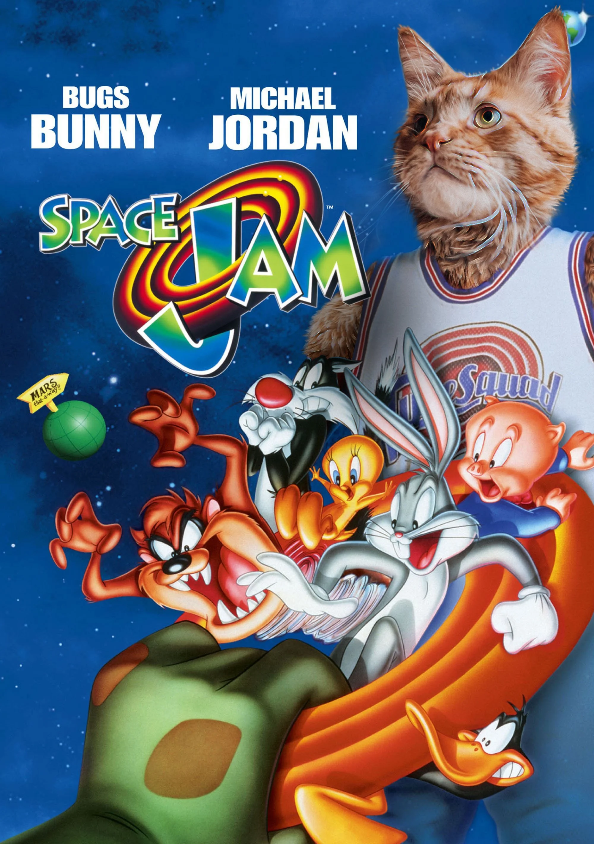 Space Cat 17 Cat.jpg