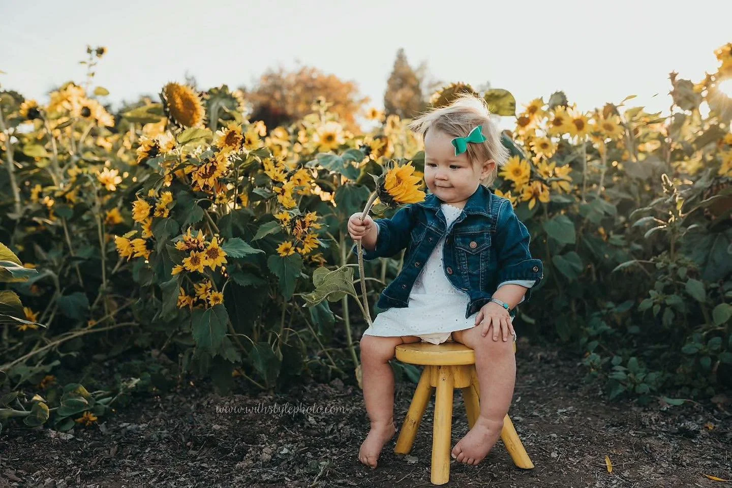 🌻 Sunflower minis 🌻
$180. 10 images. 30 mins 

Let me know your day and time, and I&rsquo;ll send you an invoice! There&rsquo;s only 5 more sessions available.

Aug 14th 5:15 and 6pm
Aug 15th 5:15 and 6pm 
Aug 16th 6:15