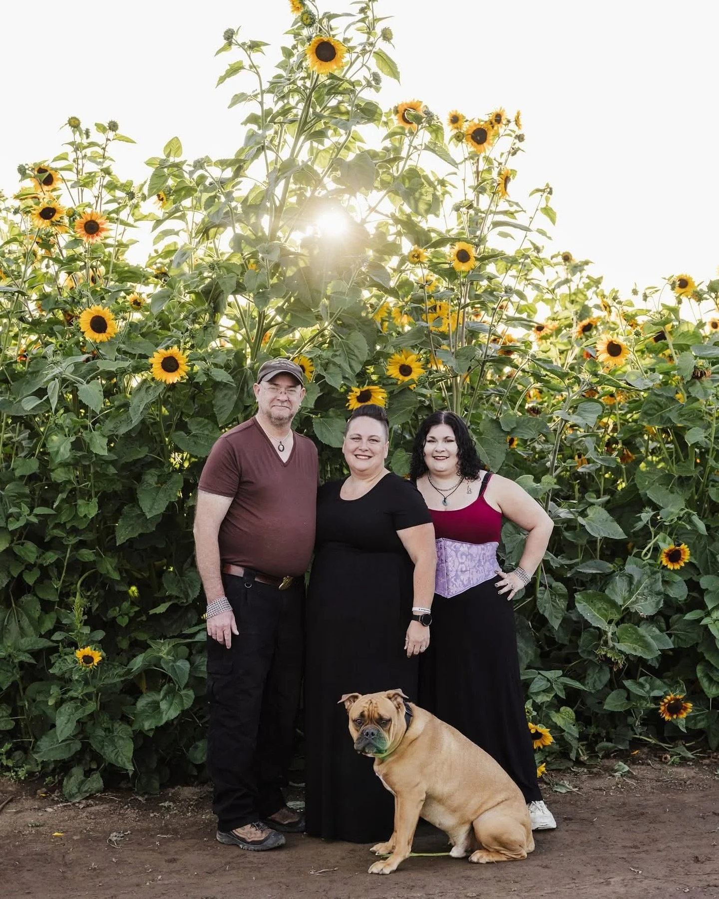 🌻 Golden blooms, happy hearts, and even the sweetest four-legged family member. 🐾✨

This beautiful family of three (plus their pup!) made the sunflower fields even brighter. Their daughter&rsquo;s laughter, the love between them all, and the joy of