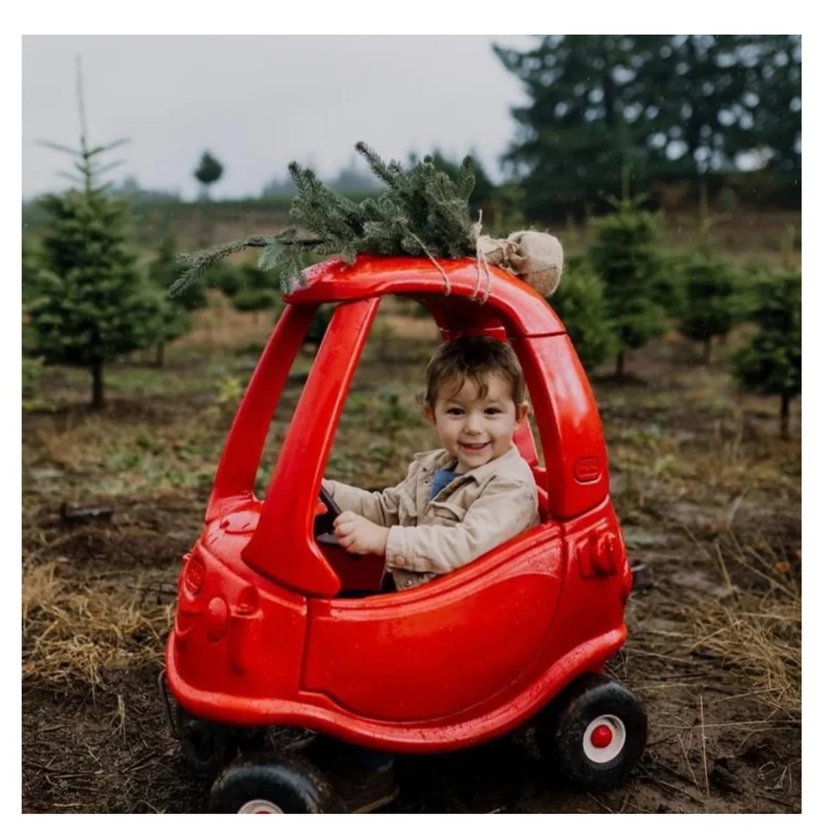 Christmas Mini Sessions Are Now Open!
Join me on November 8th &amp; 9th for this year&rsquo;s festive minis.
￼
 Session Details:
&bull; $125 &bull; 15 minutes &bull; 5 edited images
This year, I&rsquo;m offering a special discount &mdash; get your fu