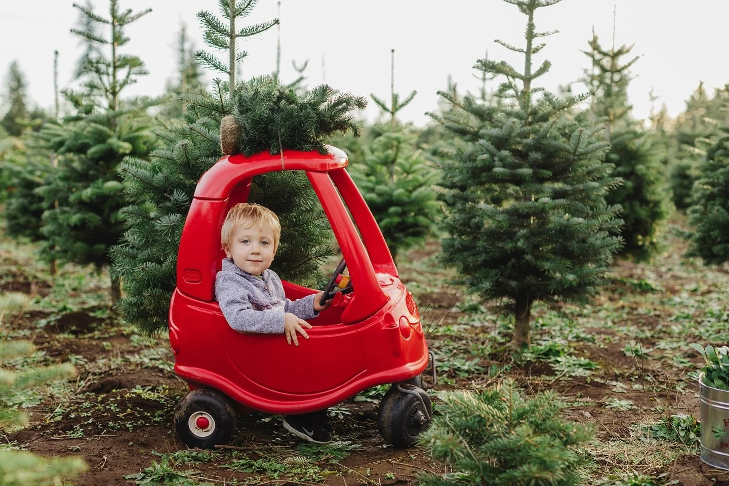 Who&rsquo;s ready for this year&rsquo;s Christmas Minis! 
We&rsquo;ll have a few new additions to this year decor! Who&rsquo;s excited? $125 for 15 minutes. 5 images. I&rsquo;m also having a full gallery sale for $80! Only available at time of bookin