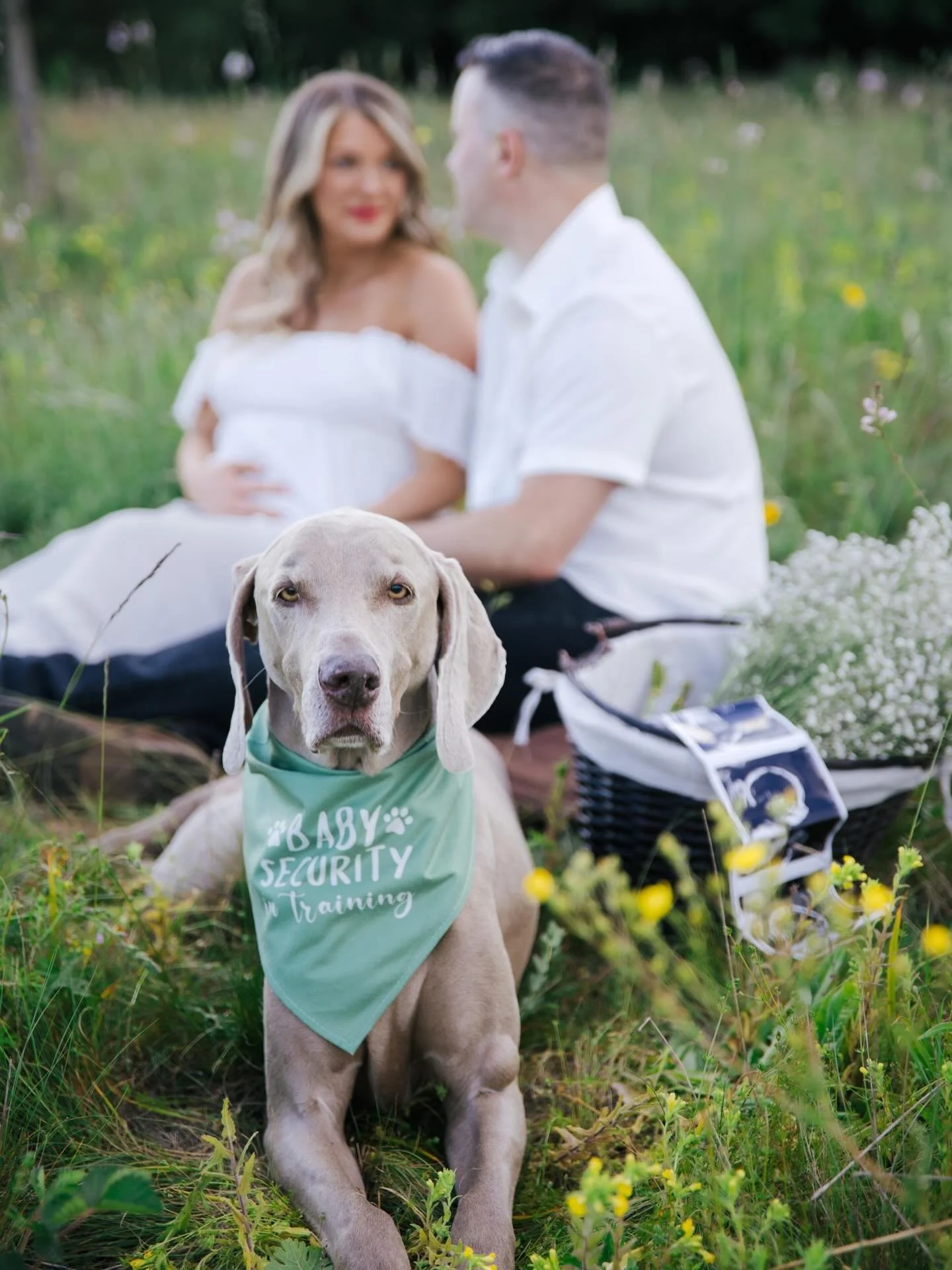 This field is showing off right now, and it was the perfect backdrop for this beautiful maternity session. ✨🤍
These soon-to-be parents were absolutely glowing as they celebrated the exciting arrival of their first baby. And of course, their sweet pu