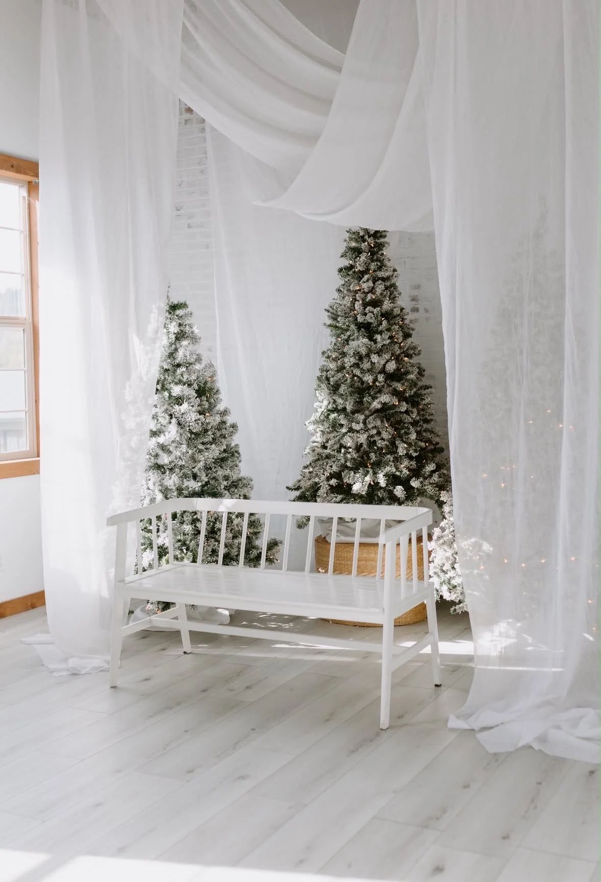 F3F2CE4C-C92B-4C9B-BB5A-137B1C6D53C6 2.JPG