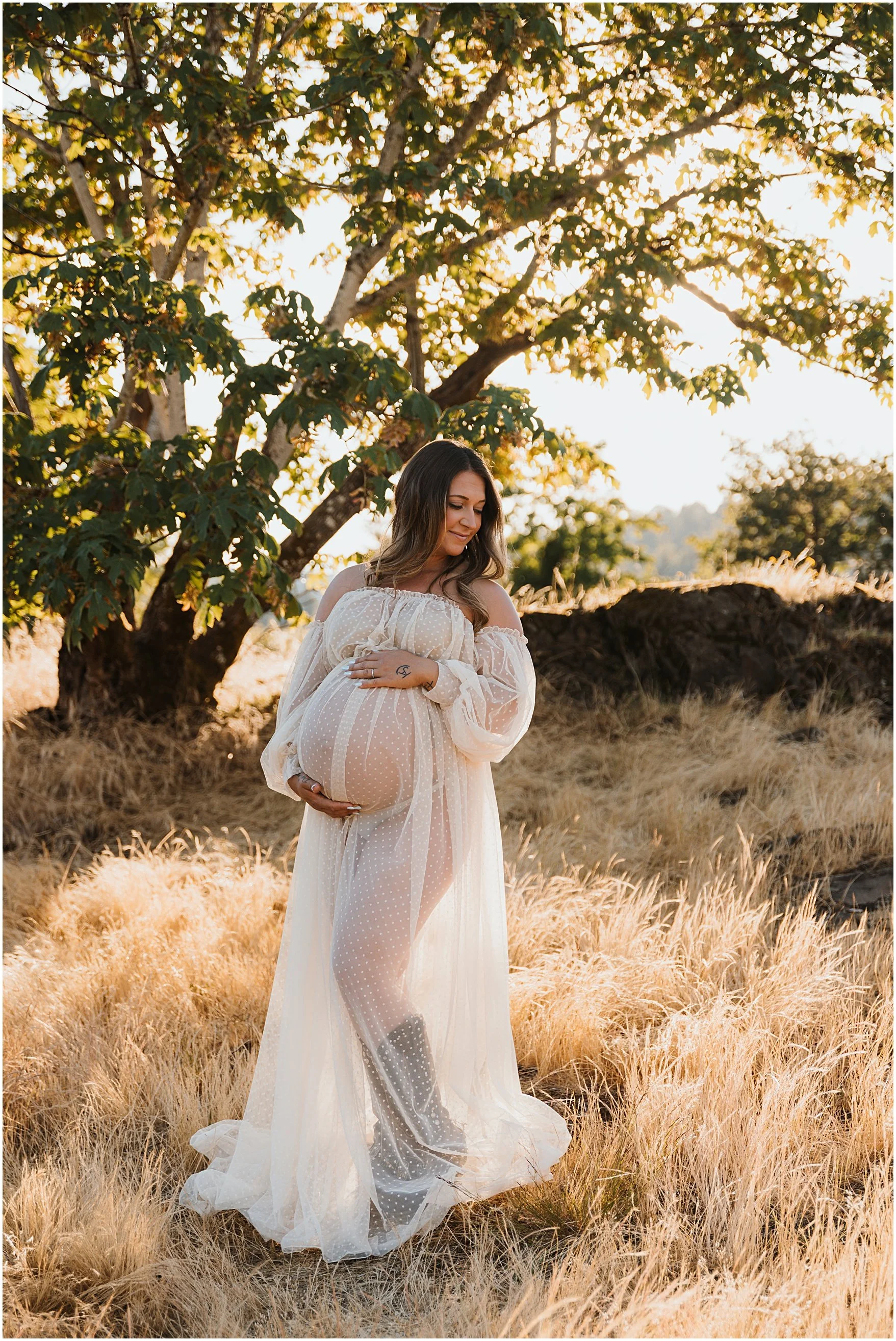 A pregnant woman wearing a sheer, off-the-shoulder, white polka-dotted dress standing in a field of tall, golden grass under a large leafy tree with sunlight filtering through the leaves.