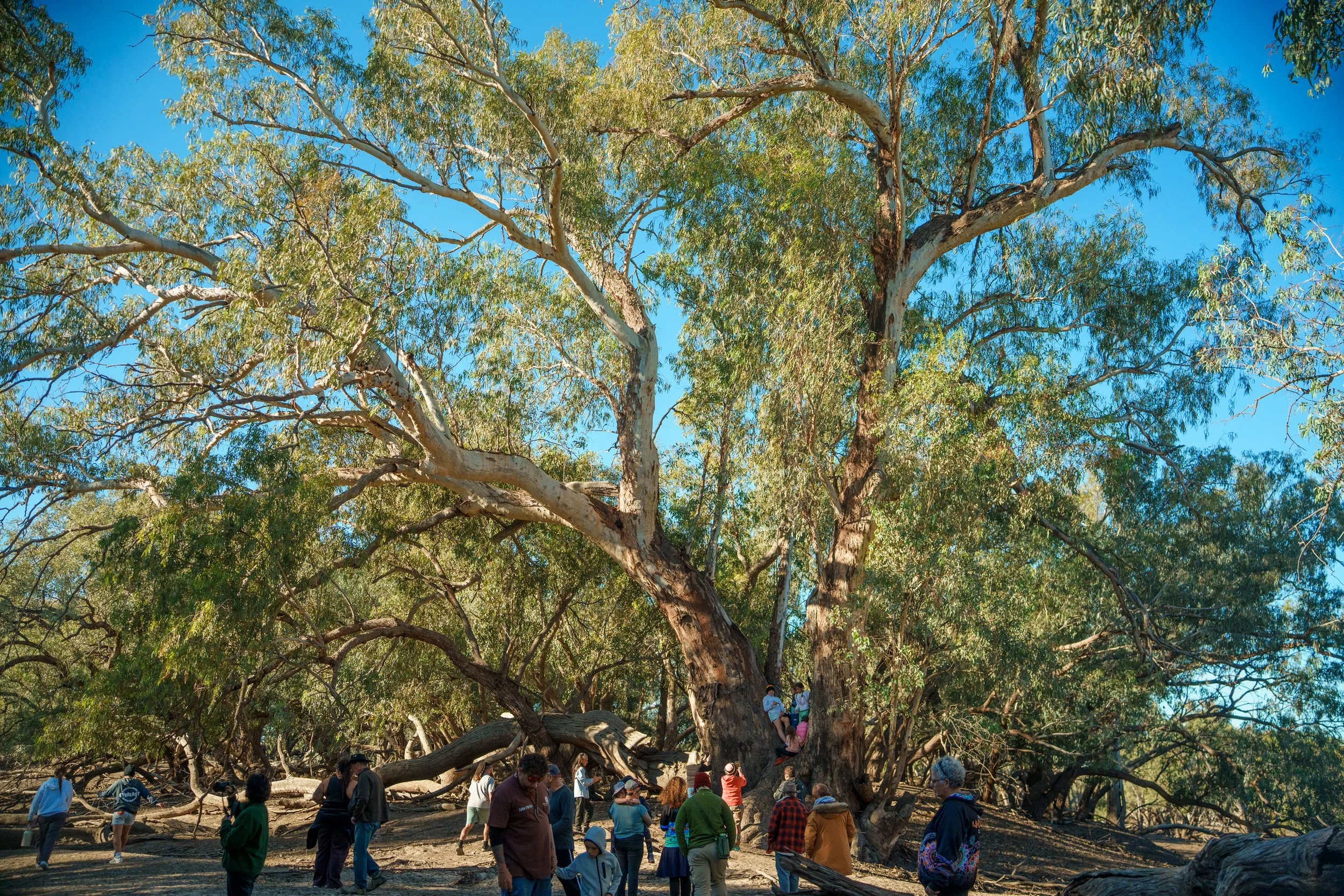 Murrawarri Camp 2026+Stephen Wilson Barker-103.jpg
