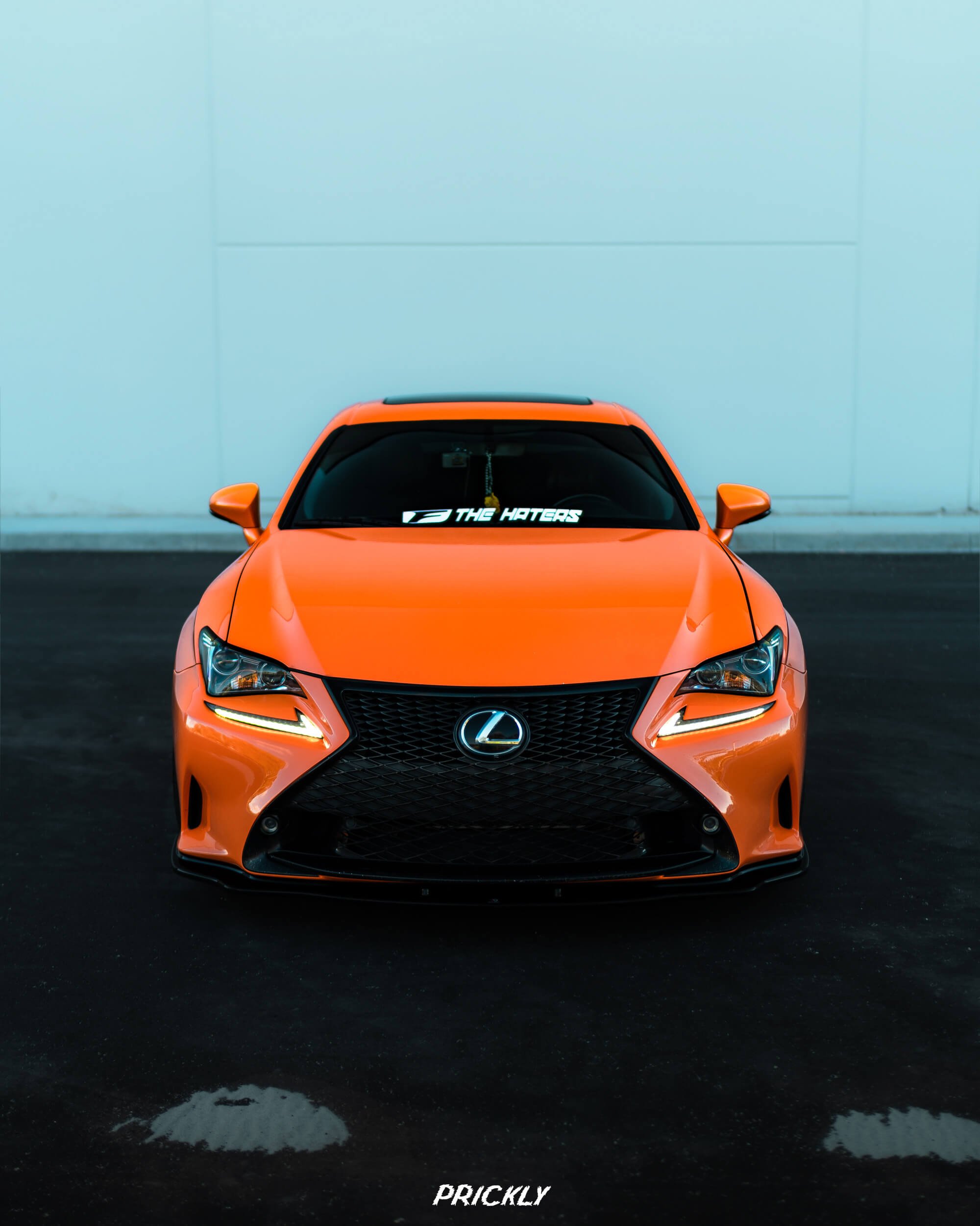 Car Detailing Chicago Detail with D