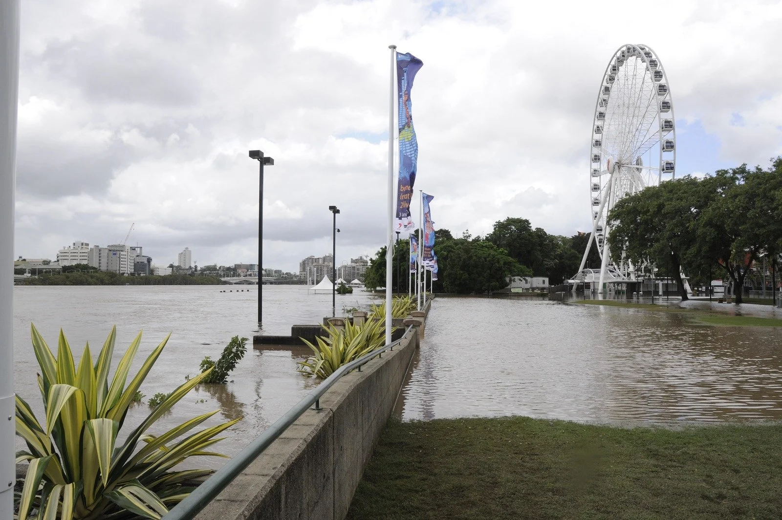 South Bank ferris wheel beside a flooded Brisbane River.