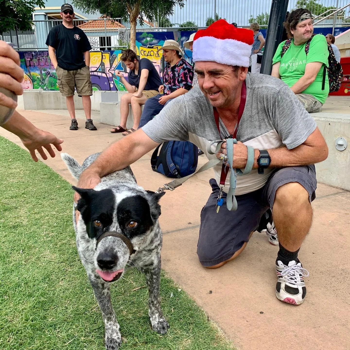 Pets and wildlife