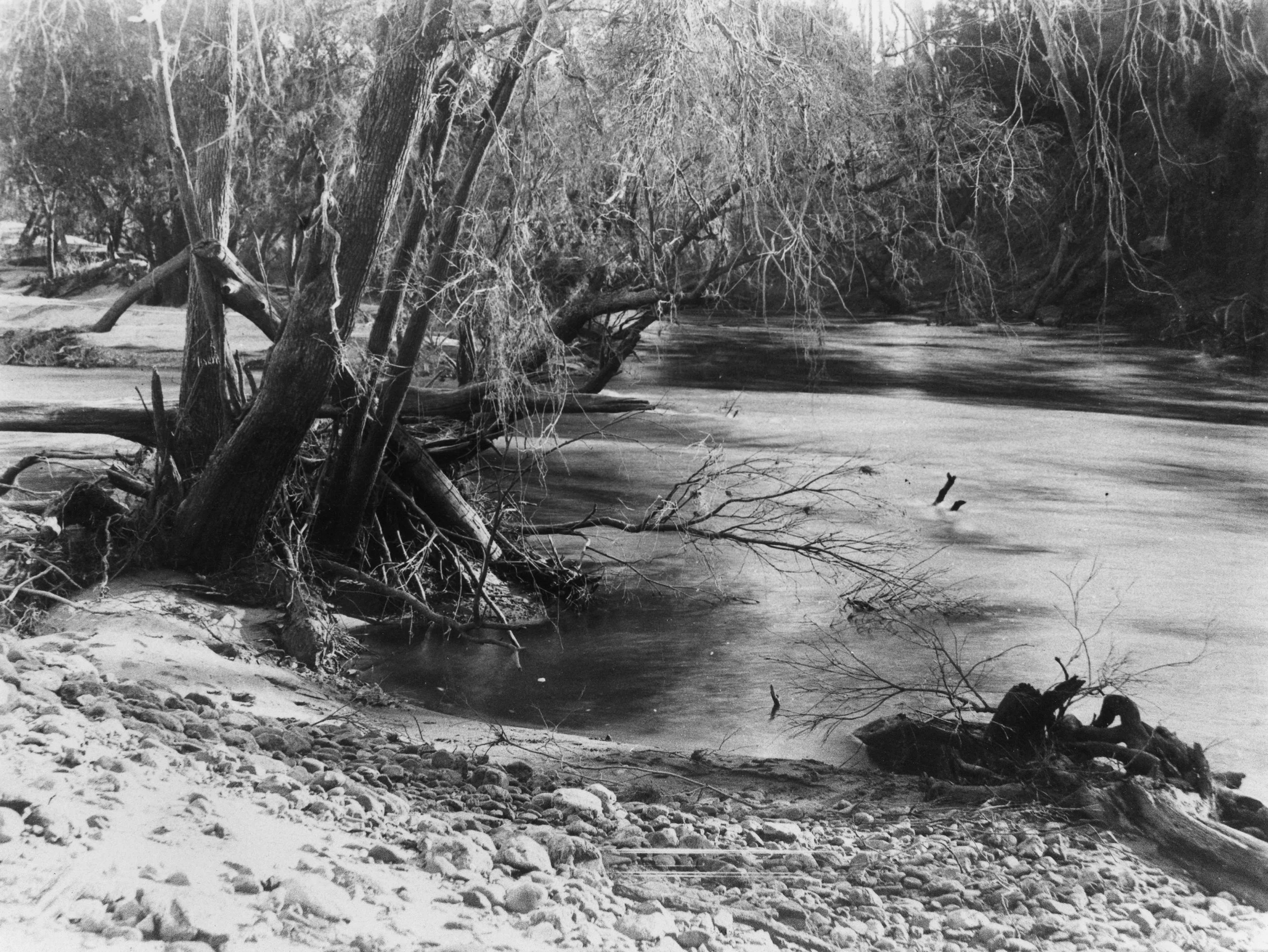 Turrbal and Jagera peoples relationship with the river