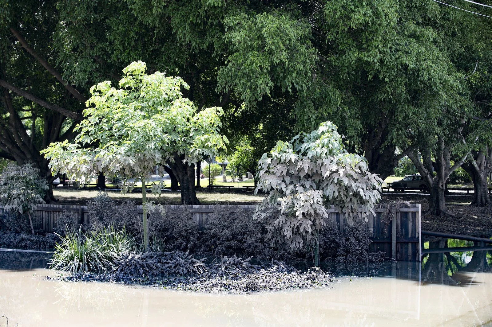 How do floods impact our environment?