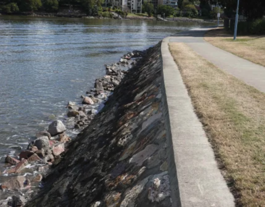  The wall at the river bend, Orleigh Park. (P. Granville). 