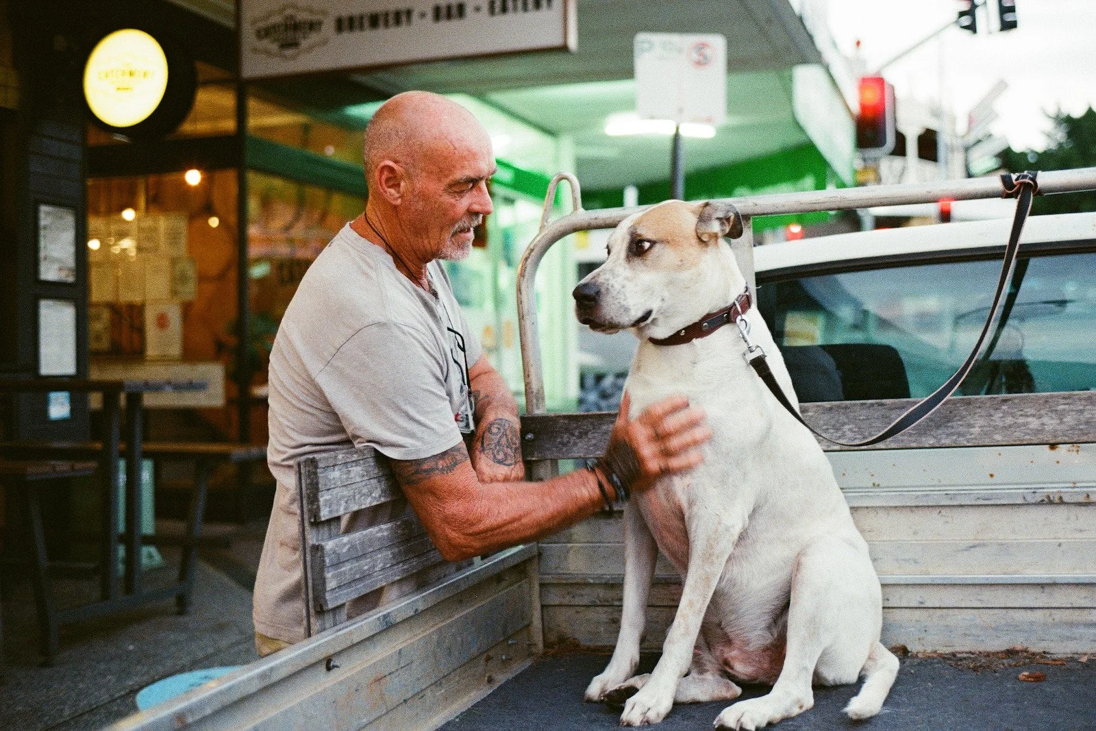 Don’t Forget About Our Furry & Feathered Friends