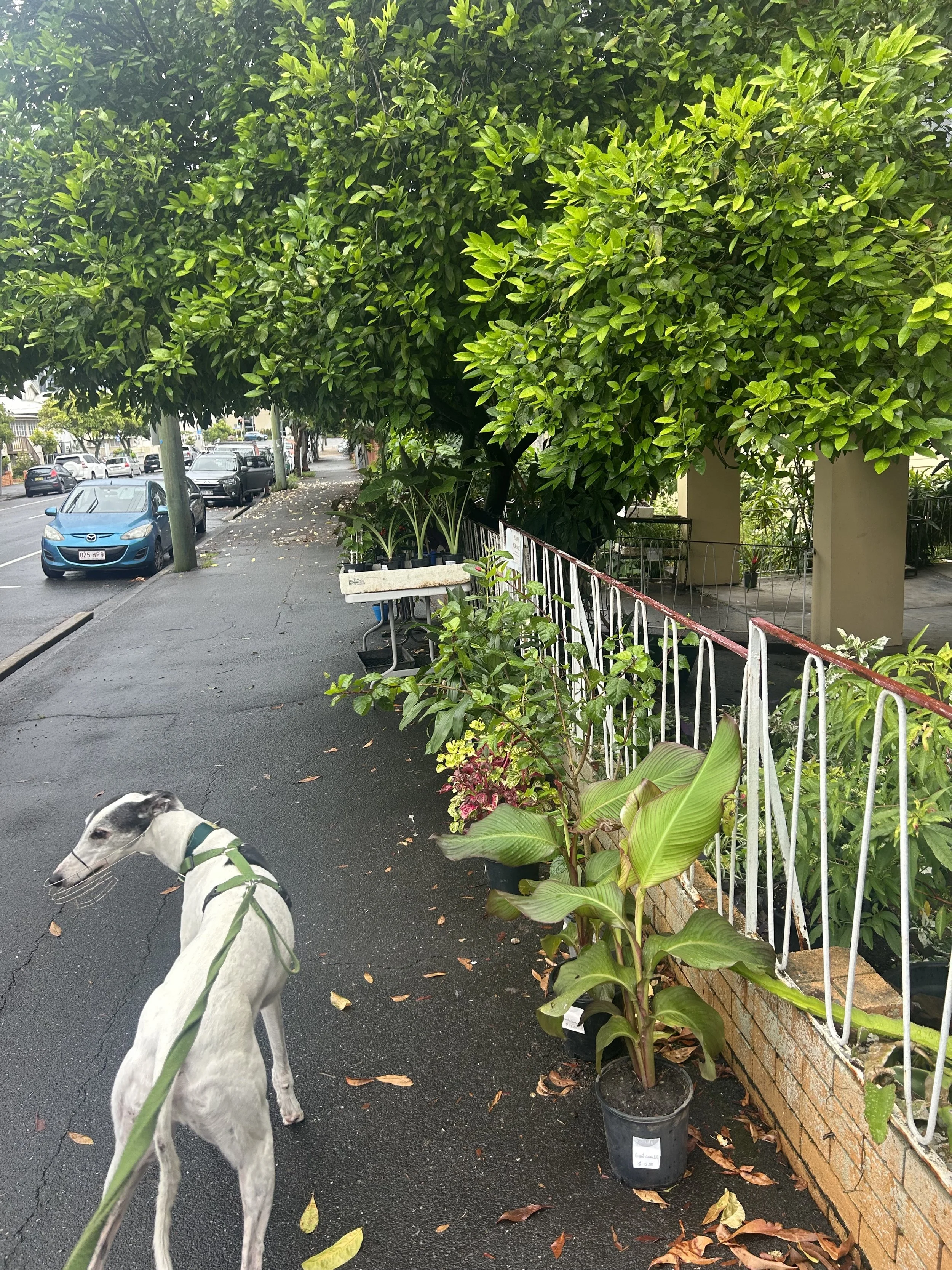 Community connection and disaster resilience: An argument for makeshift architecture